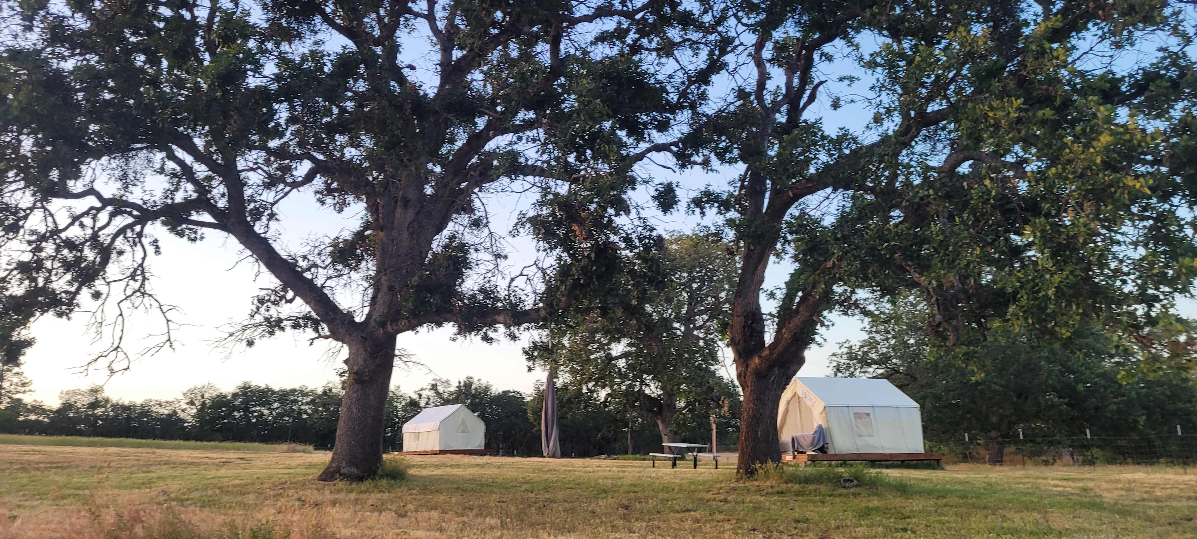 Lane Creek Reserve