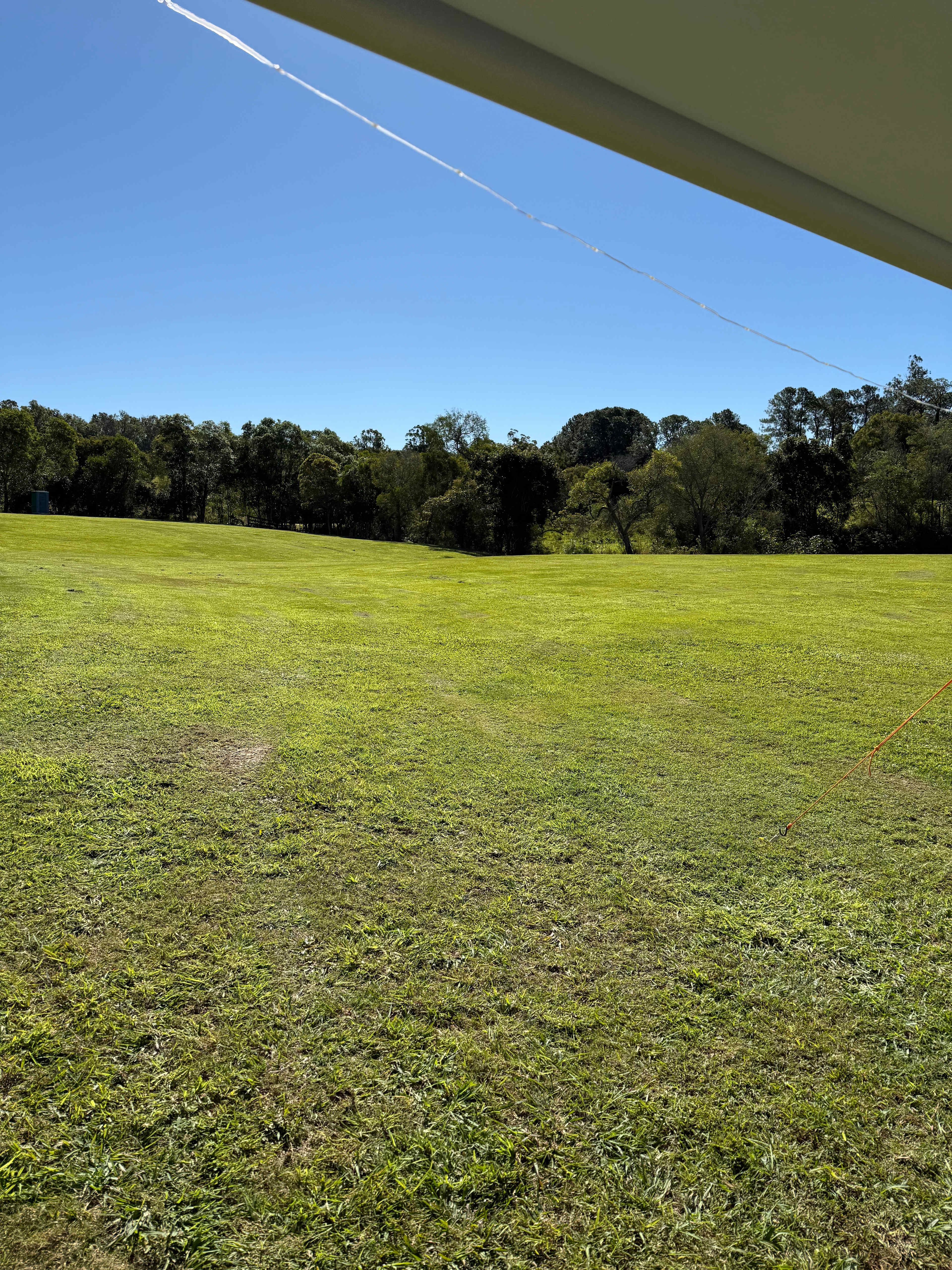 Great grassy areas to camp