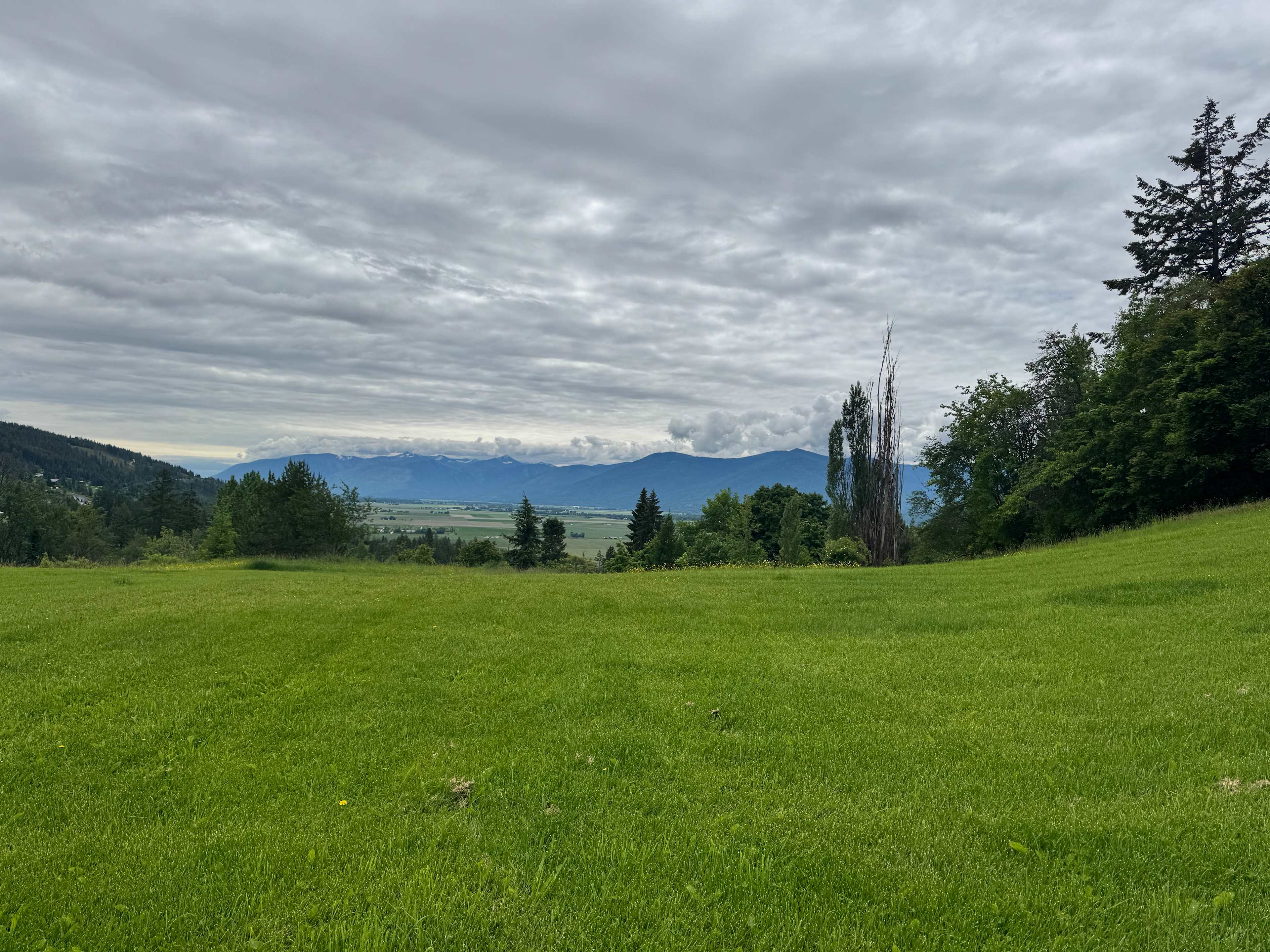 Blacktail Ridge