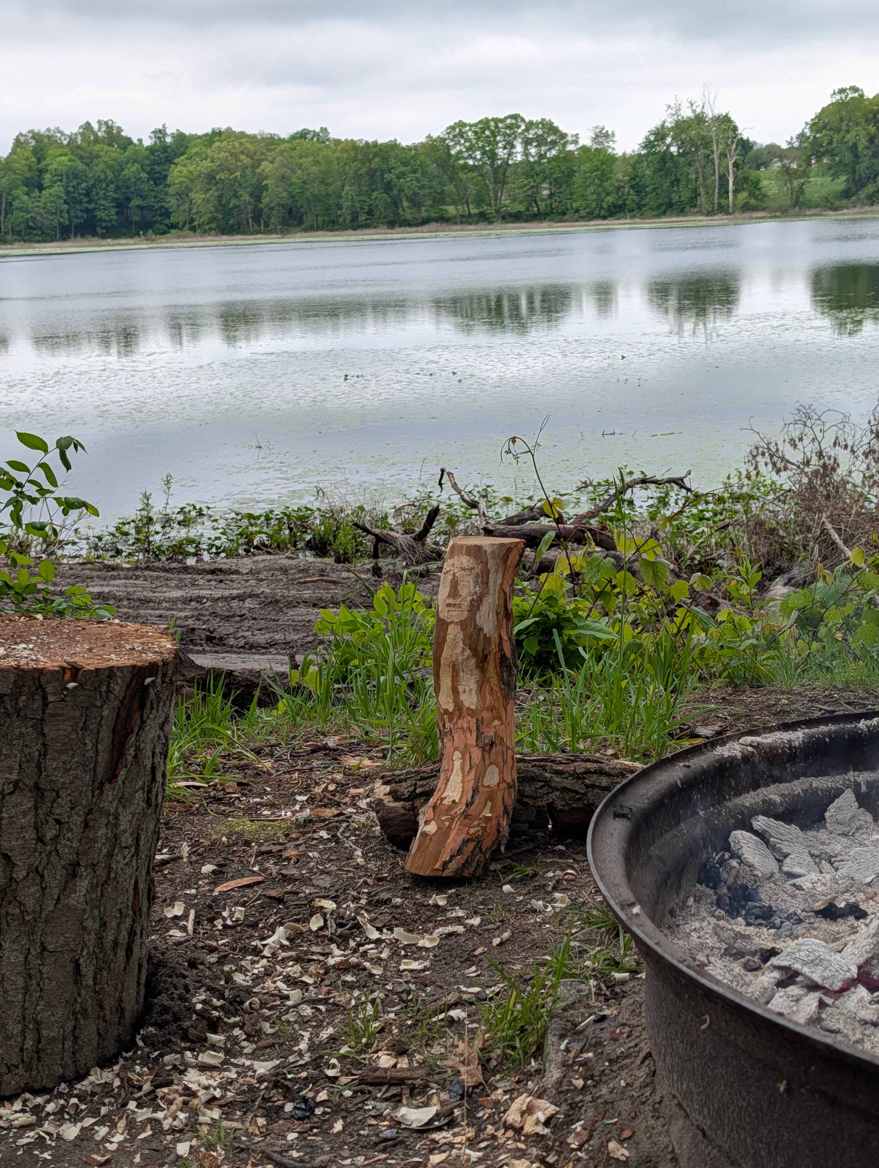 Restful Camping Retreat