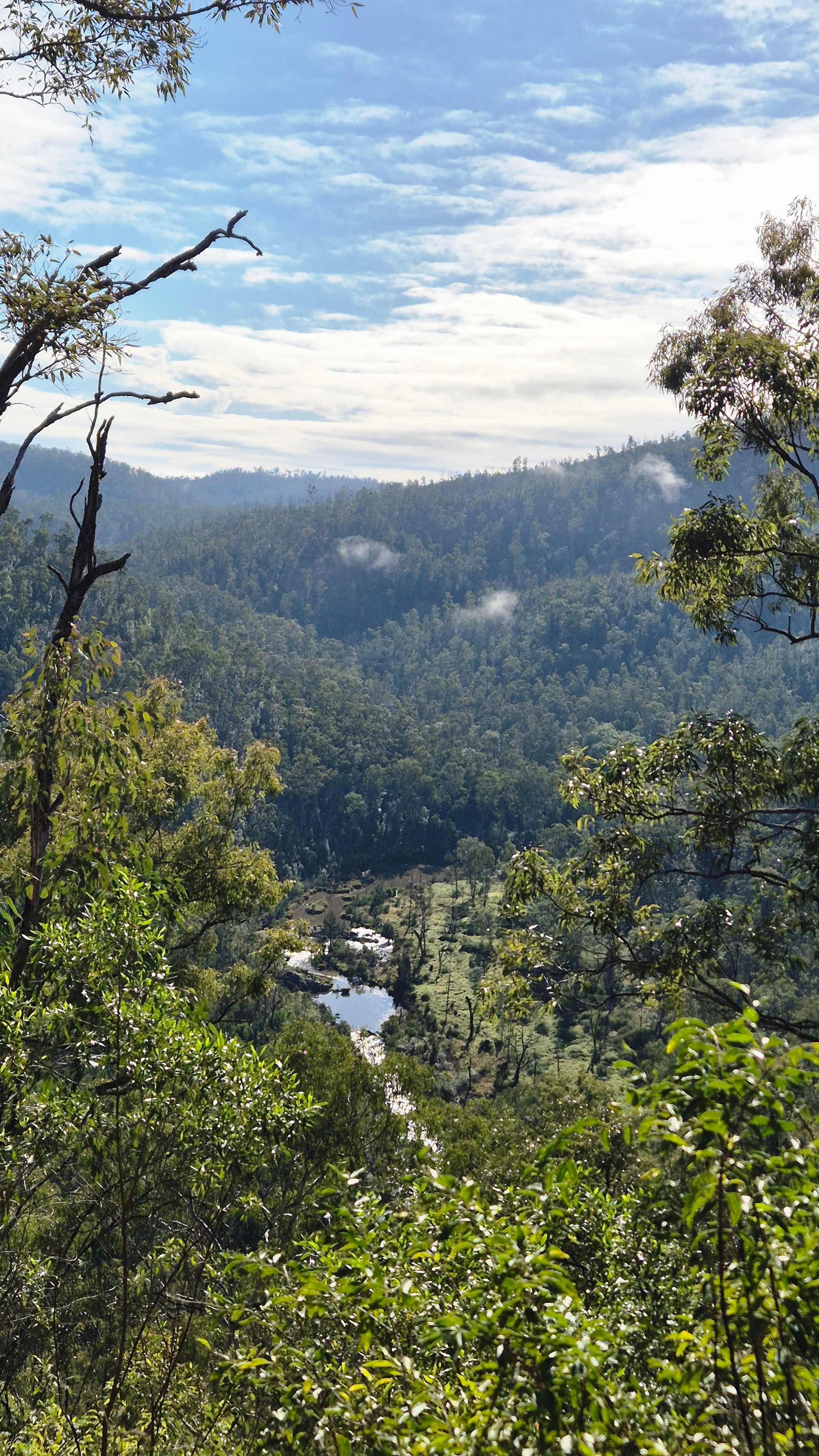 Clarence River Wilderness Lodge