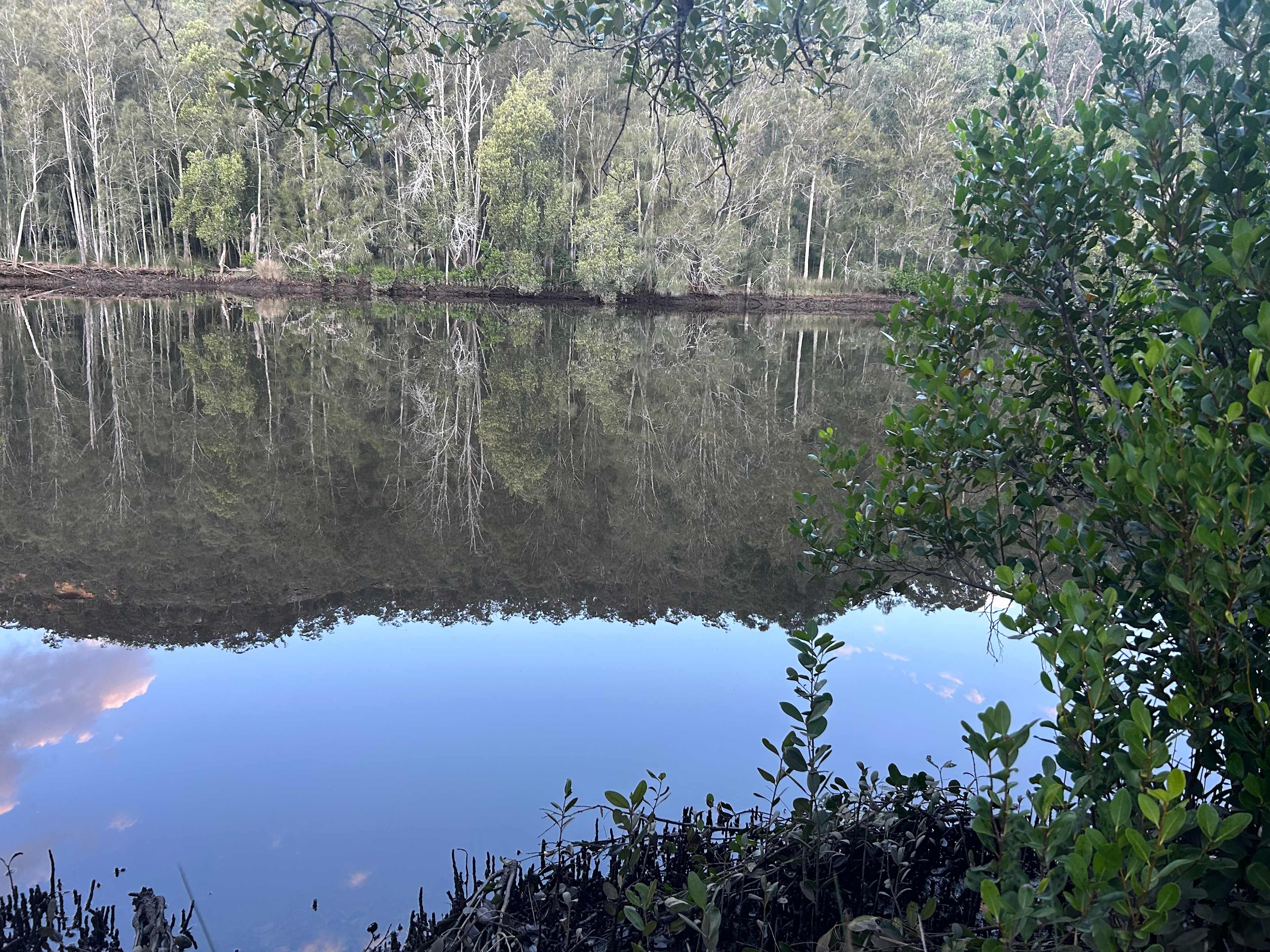 The creek next to campsite Marabalong