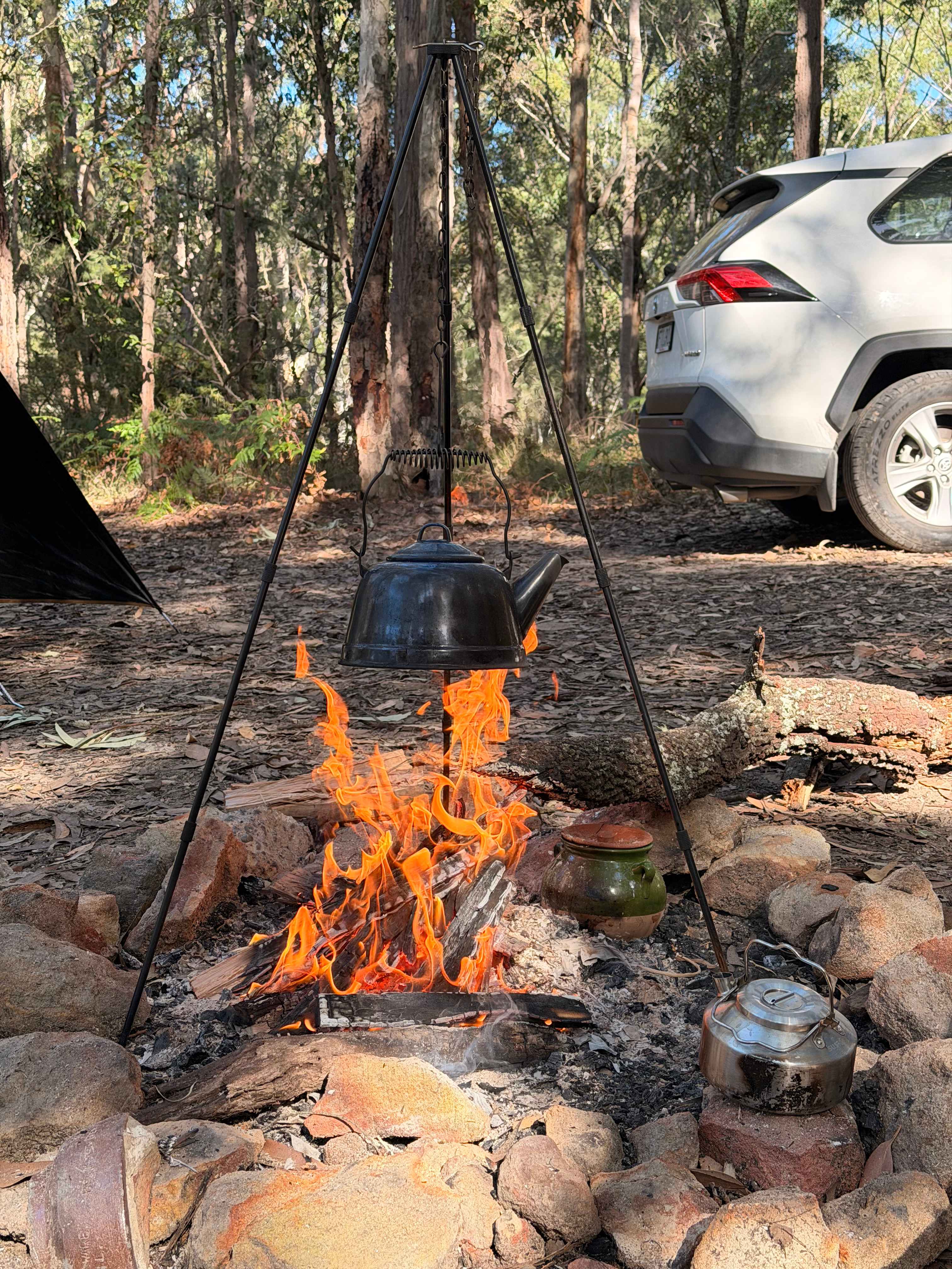 Mt Nellinda Campsite