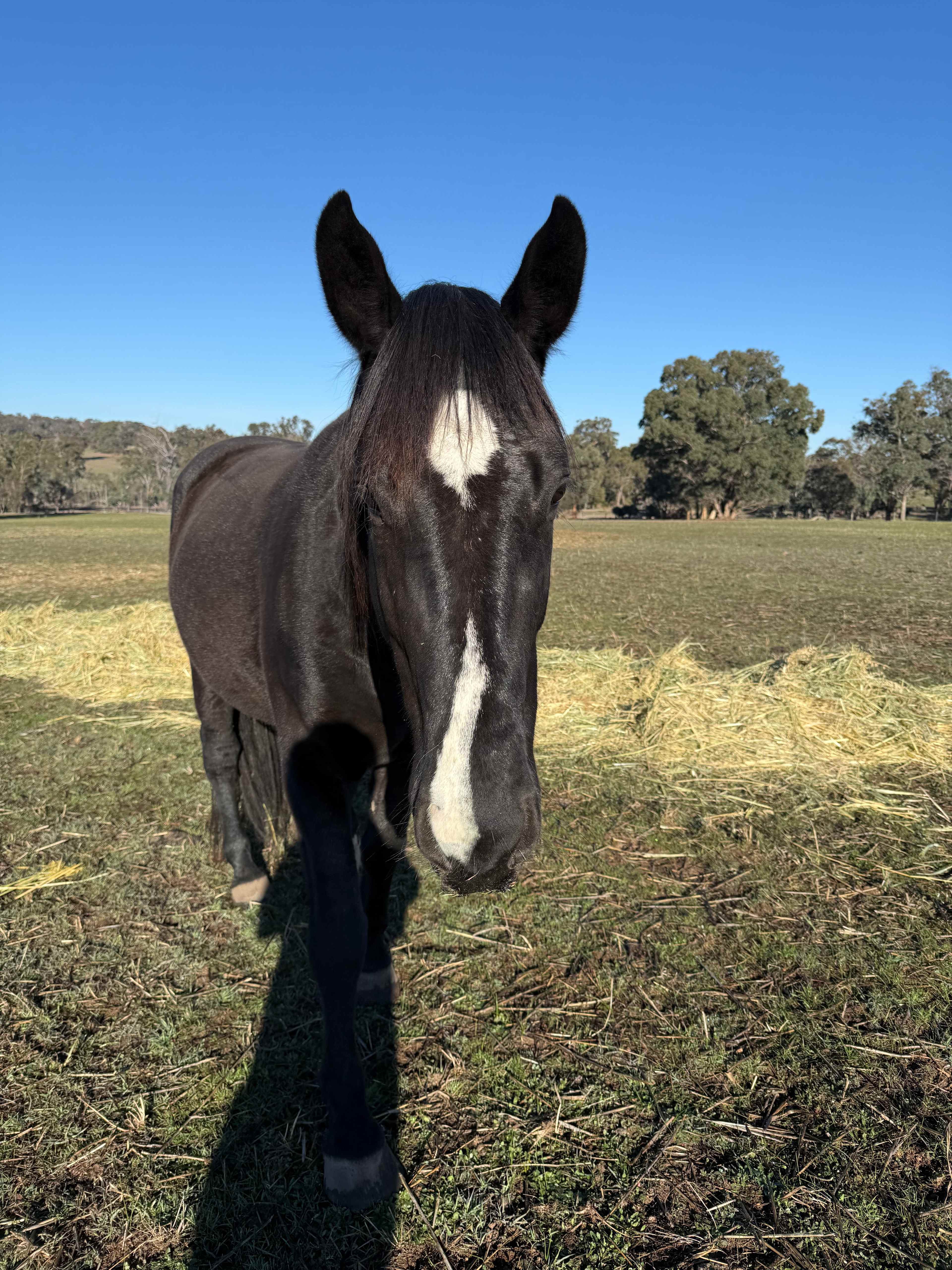 Haddlestone Farm