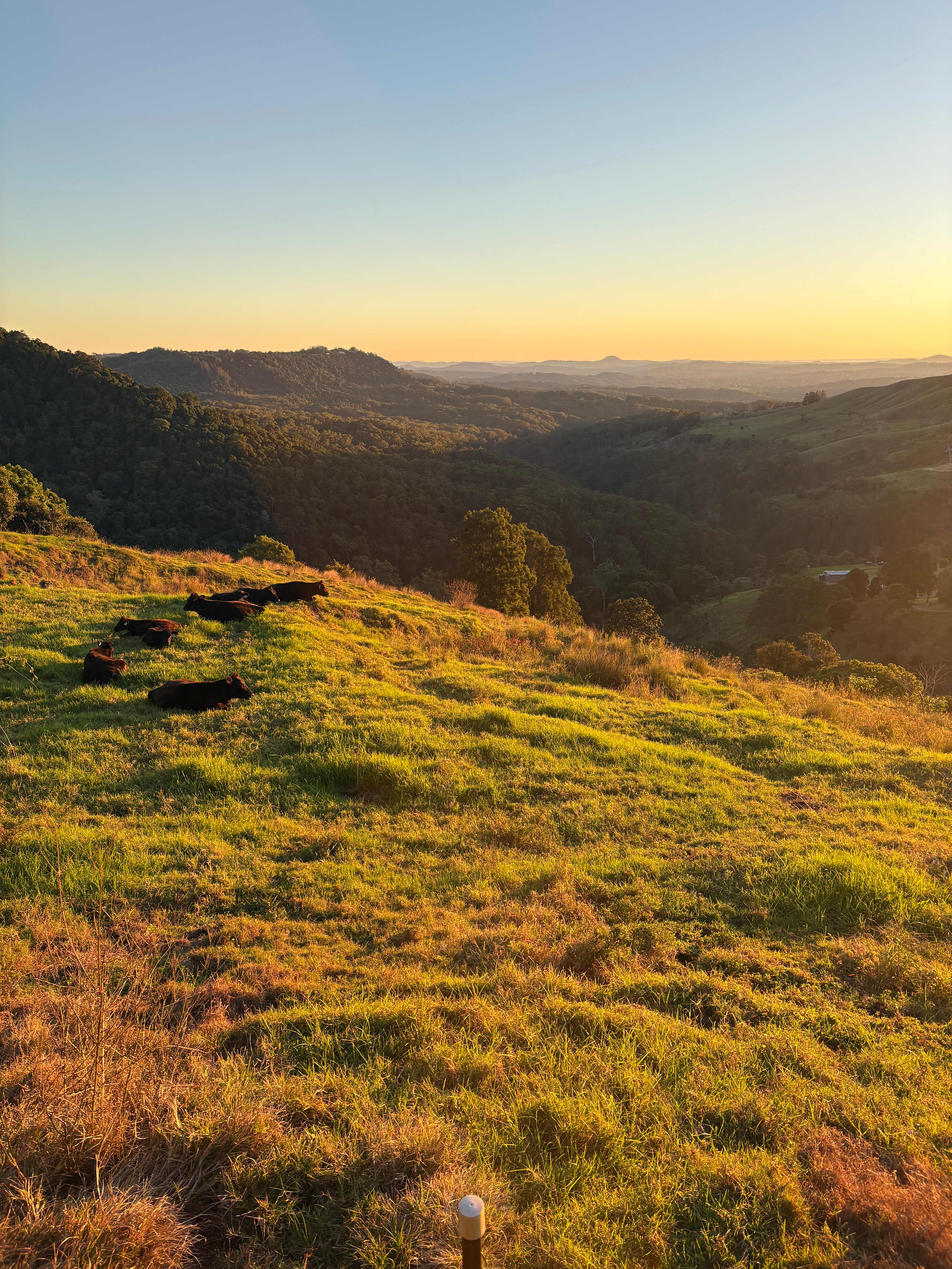 Riverdell Country