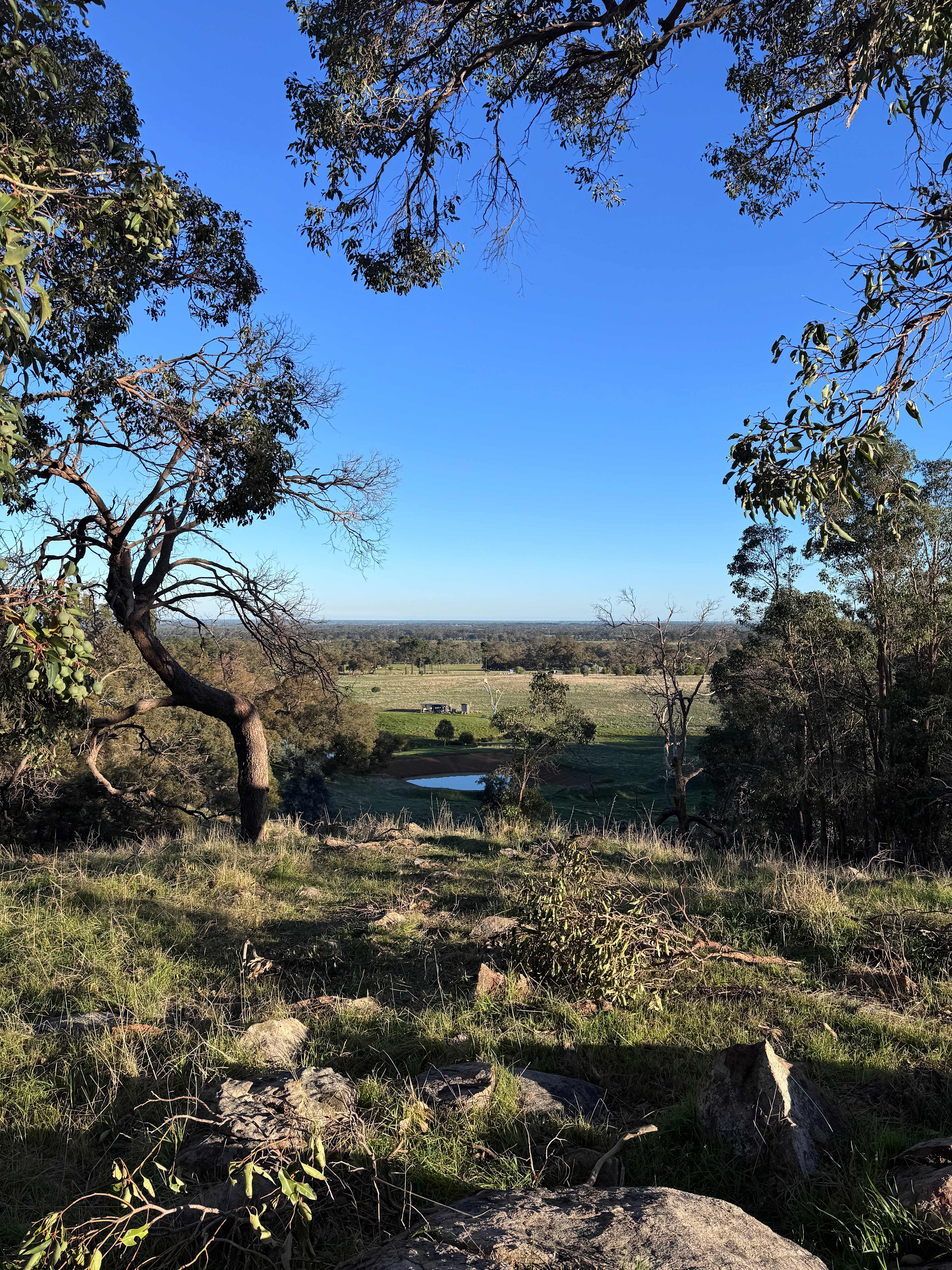 Awesome view 