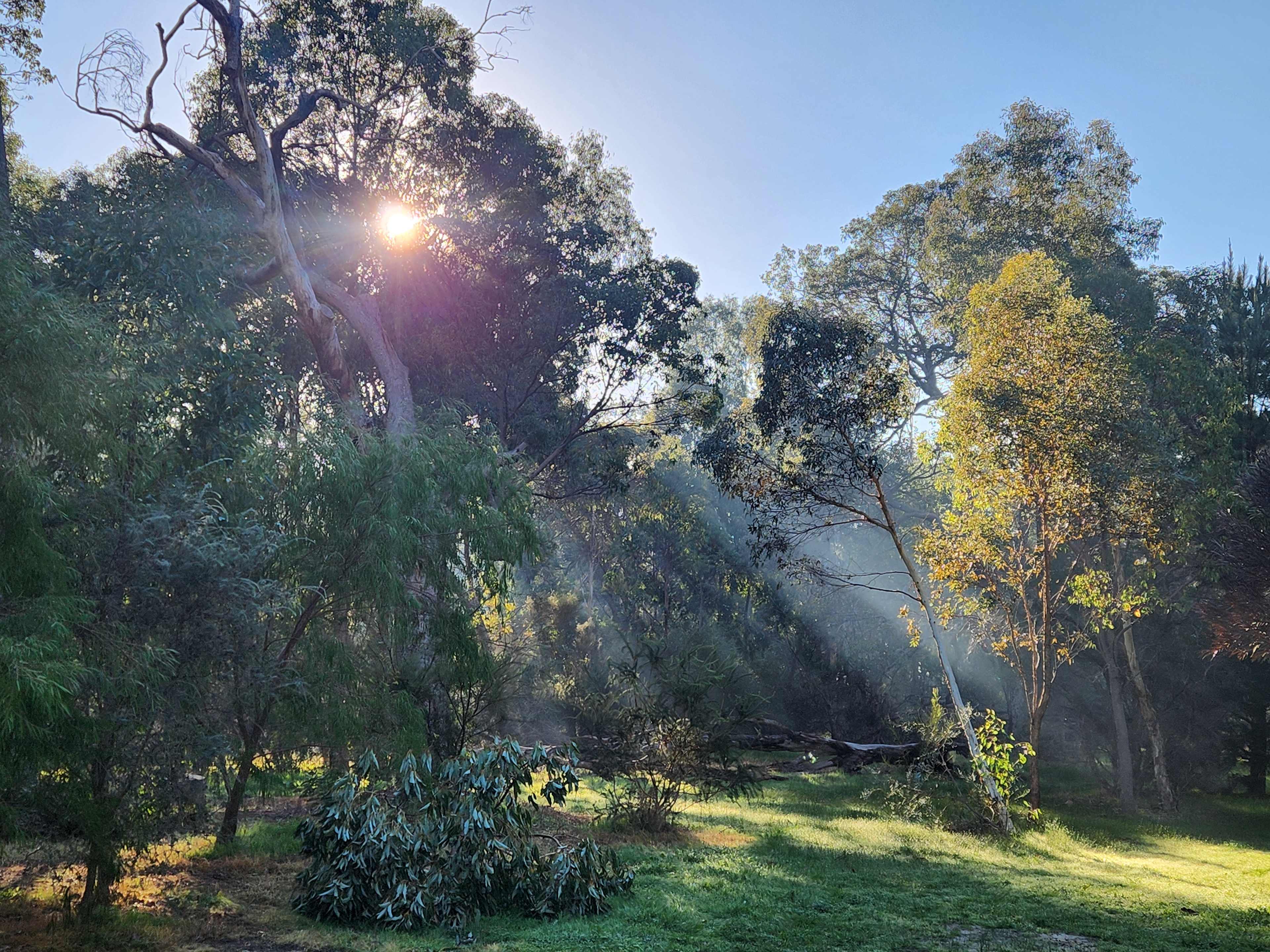 Rose’s Reserve