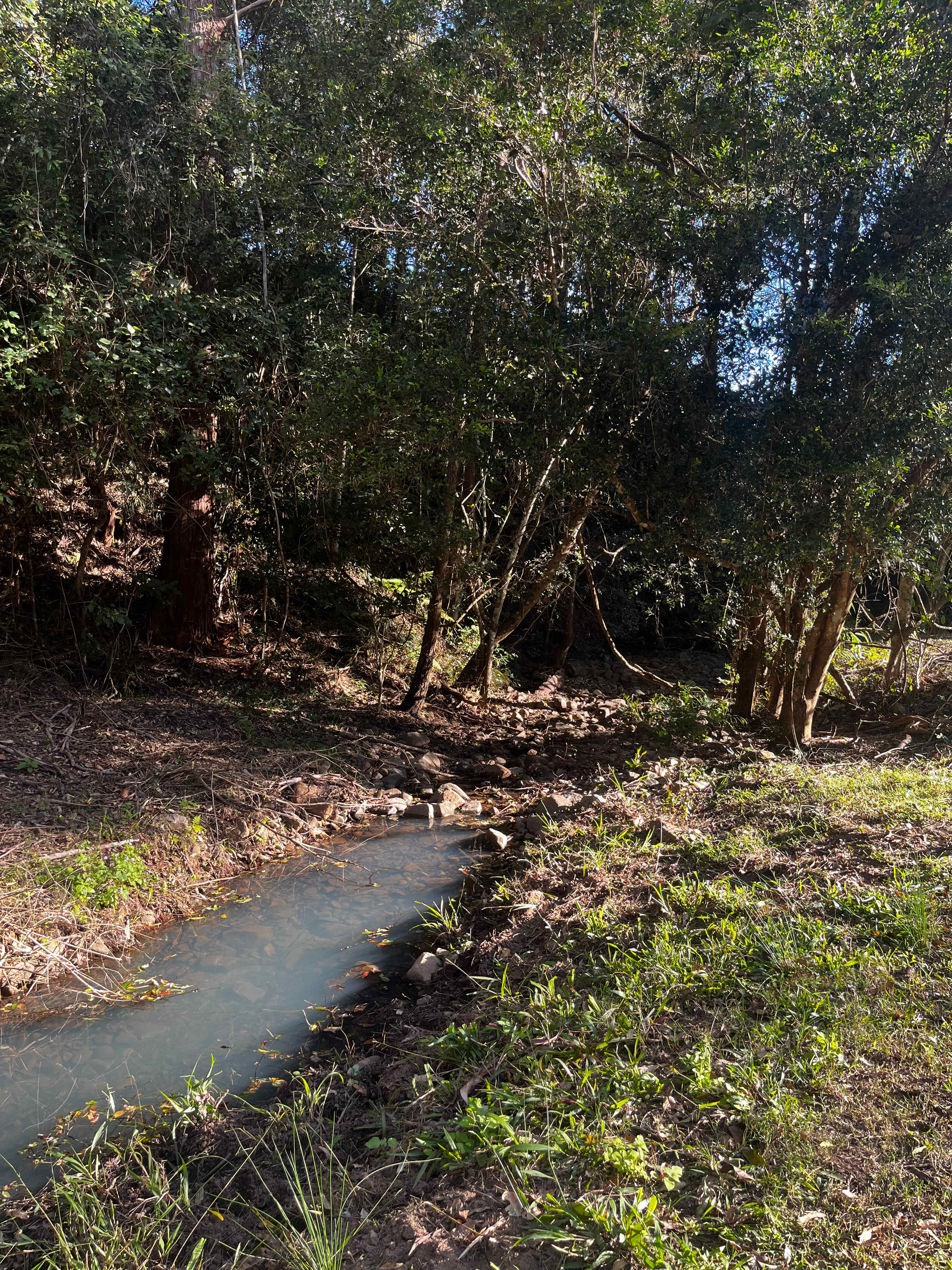The Hills - Stony Creek Camp