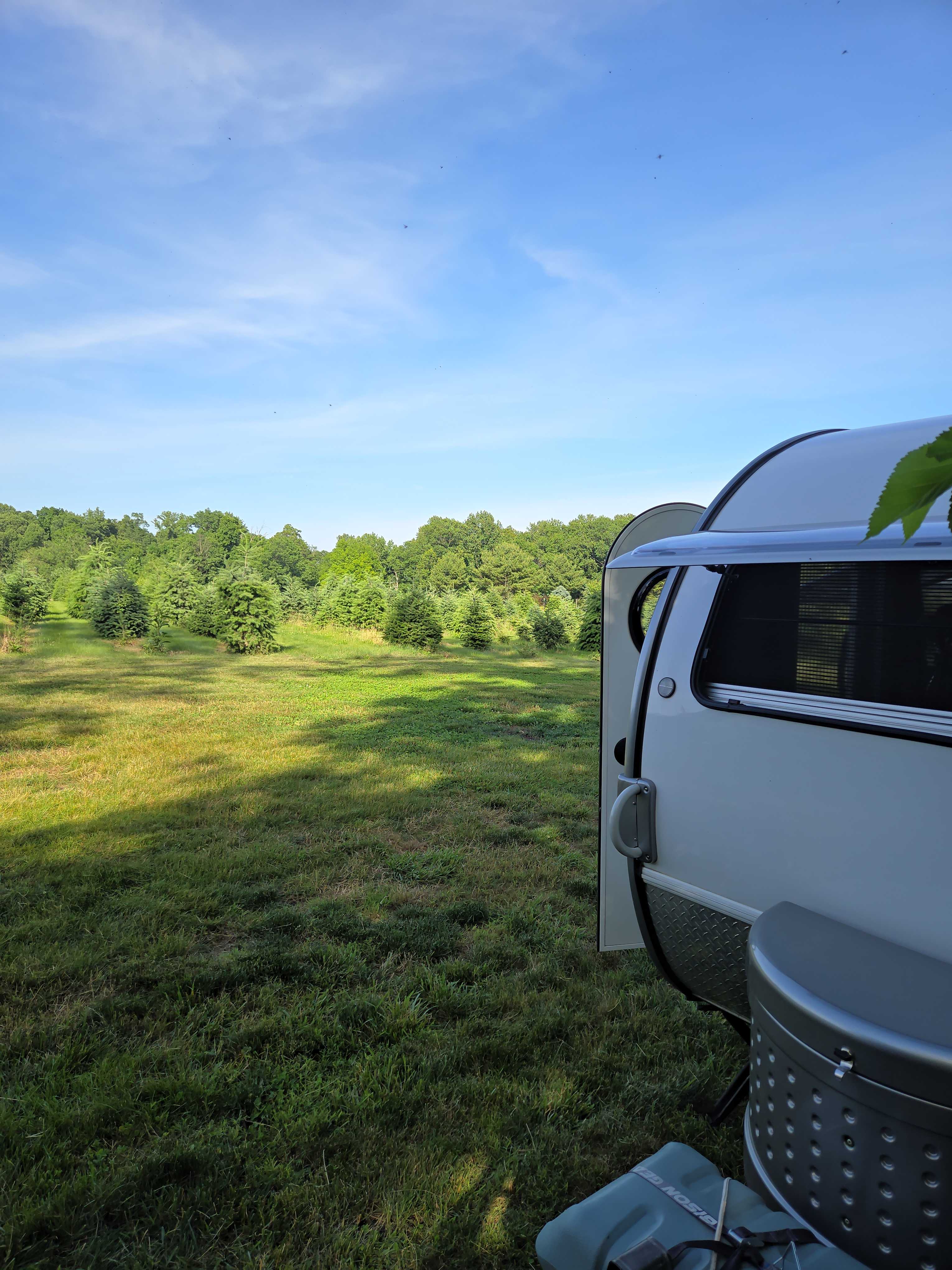 Christmas Tree Farm with Views