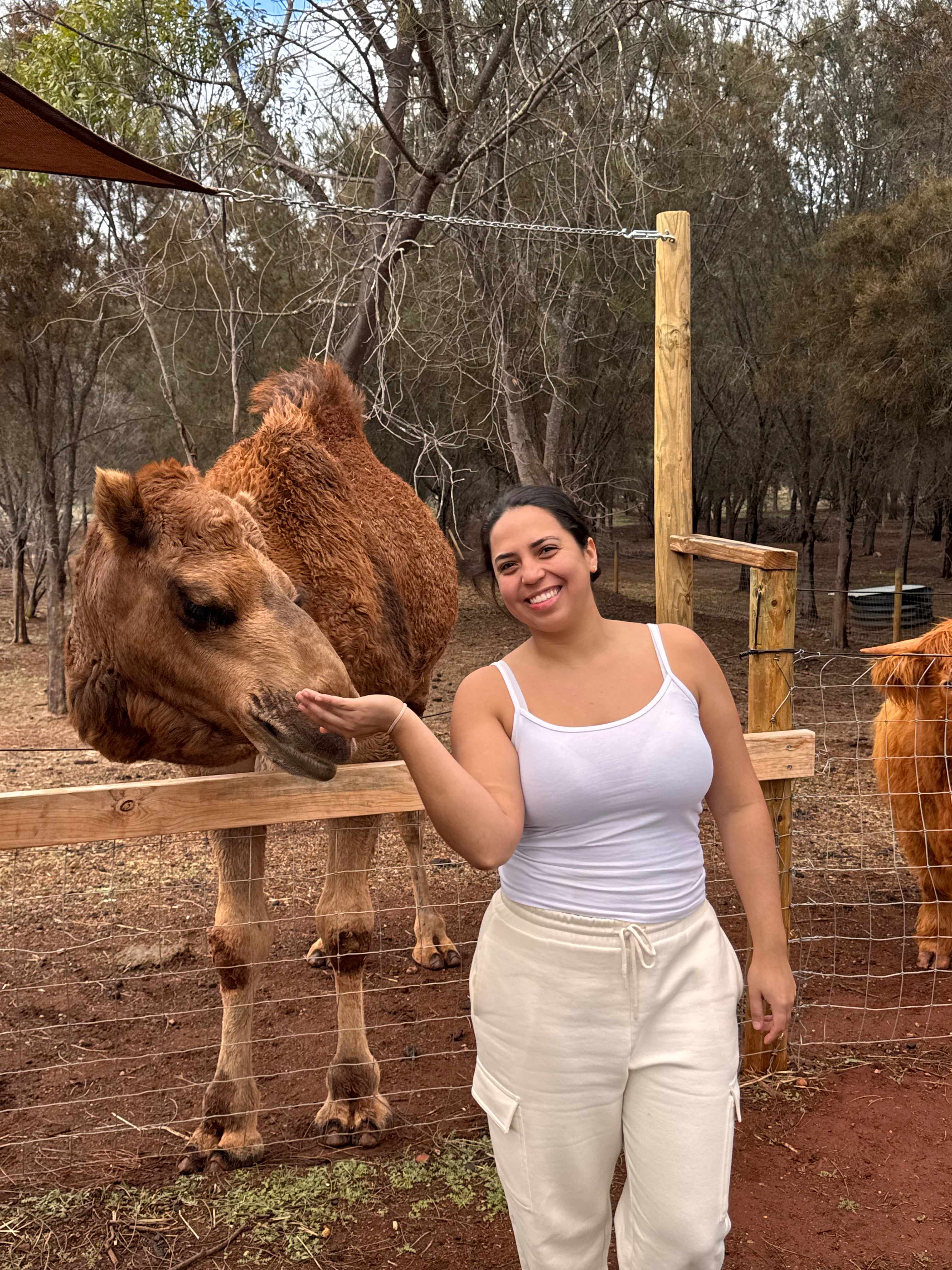 Sandalwood Downs  Farm Stay Toodyay