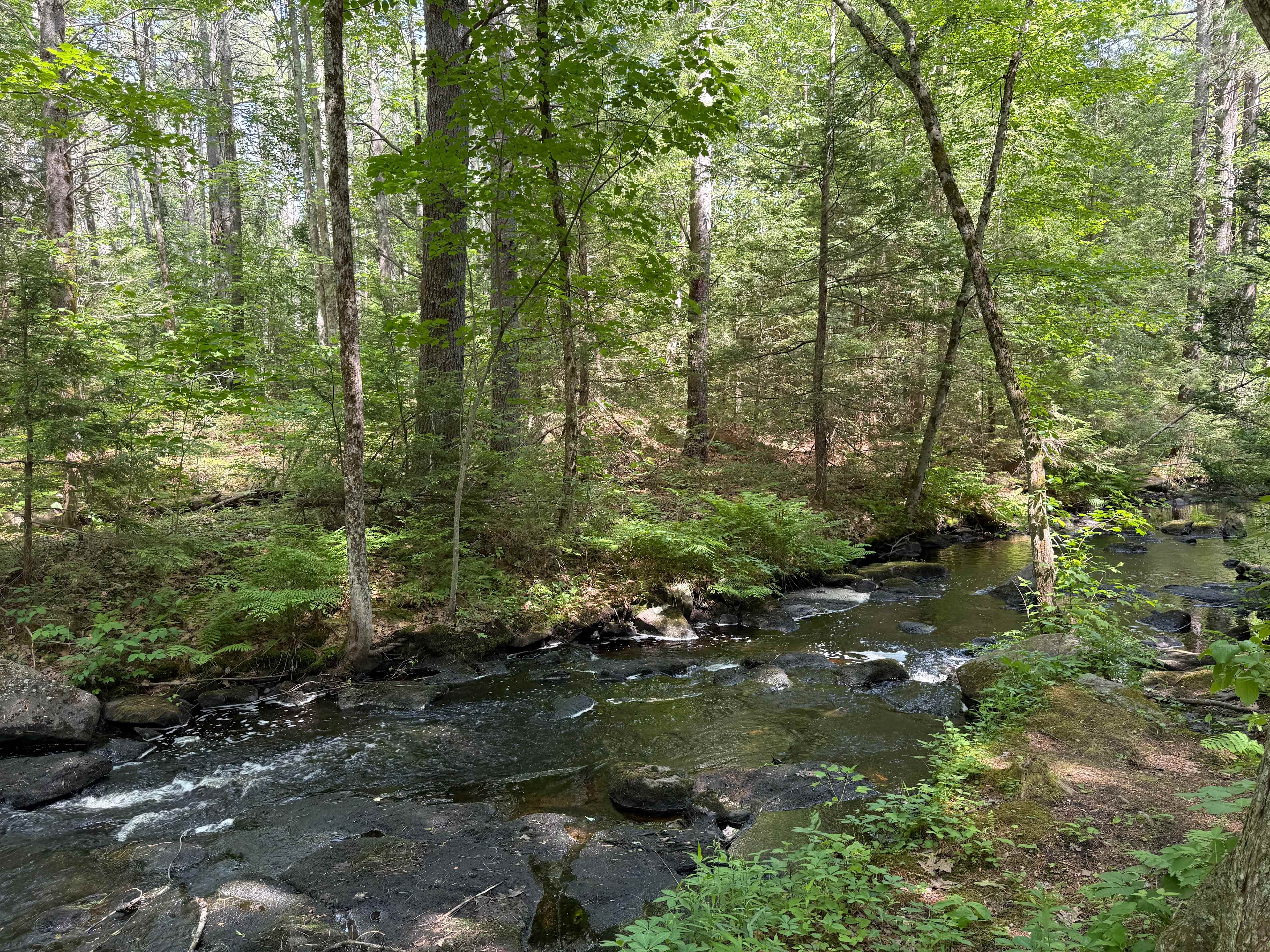 Flowing water near the campground