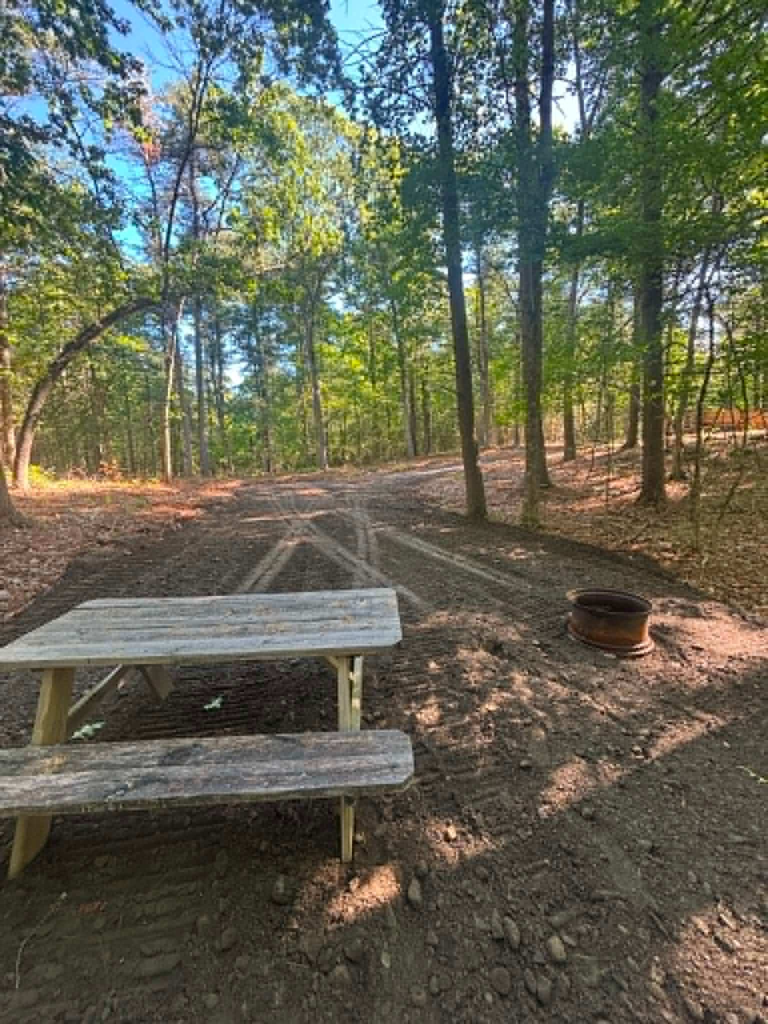 Picture of the site