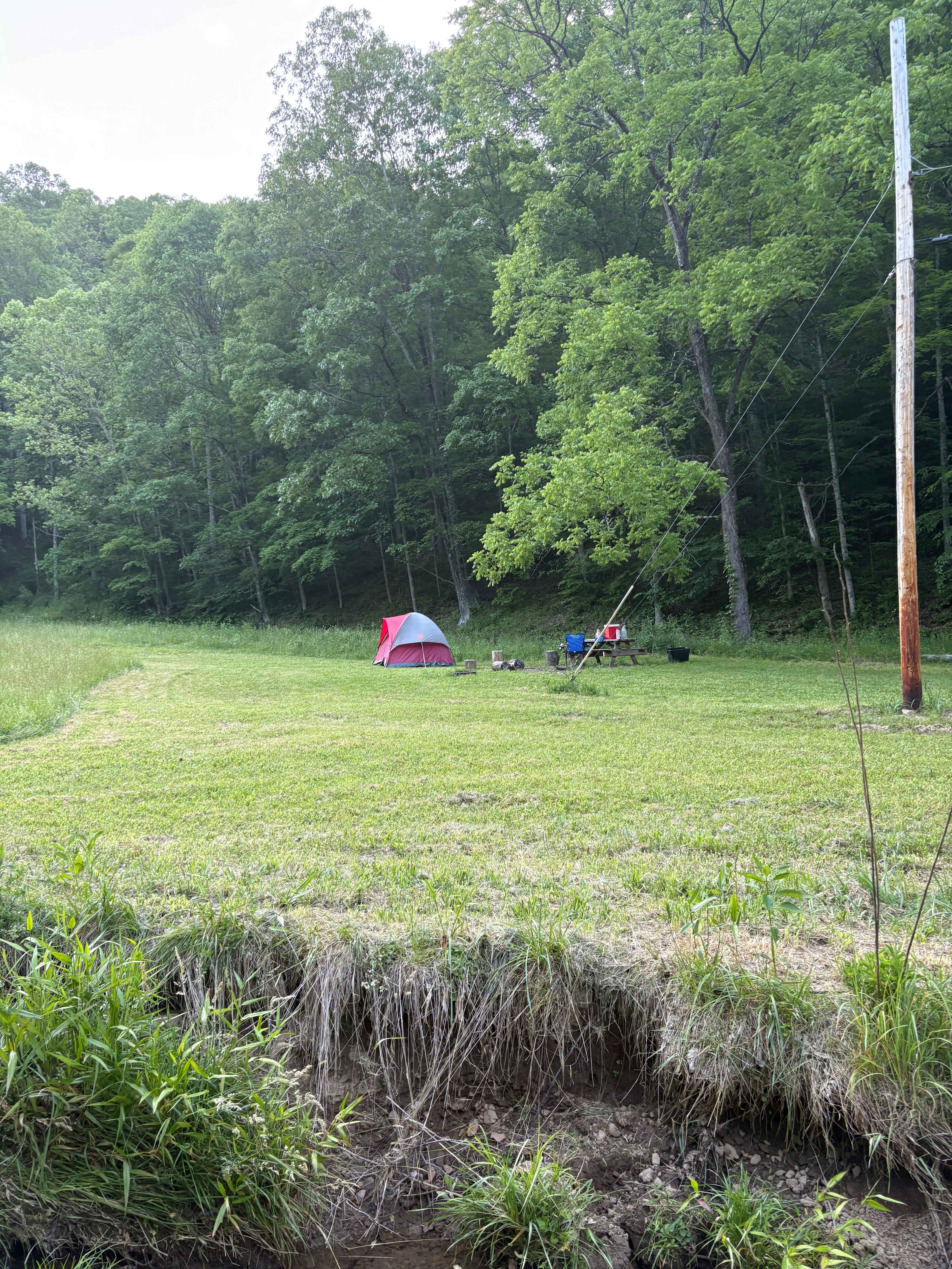 Picture of the site