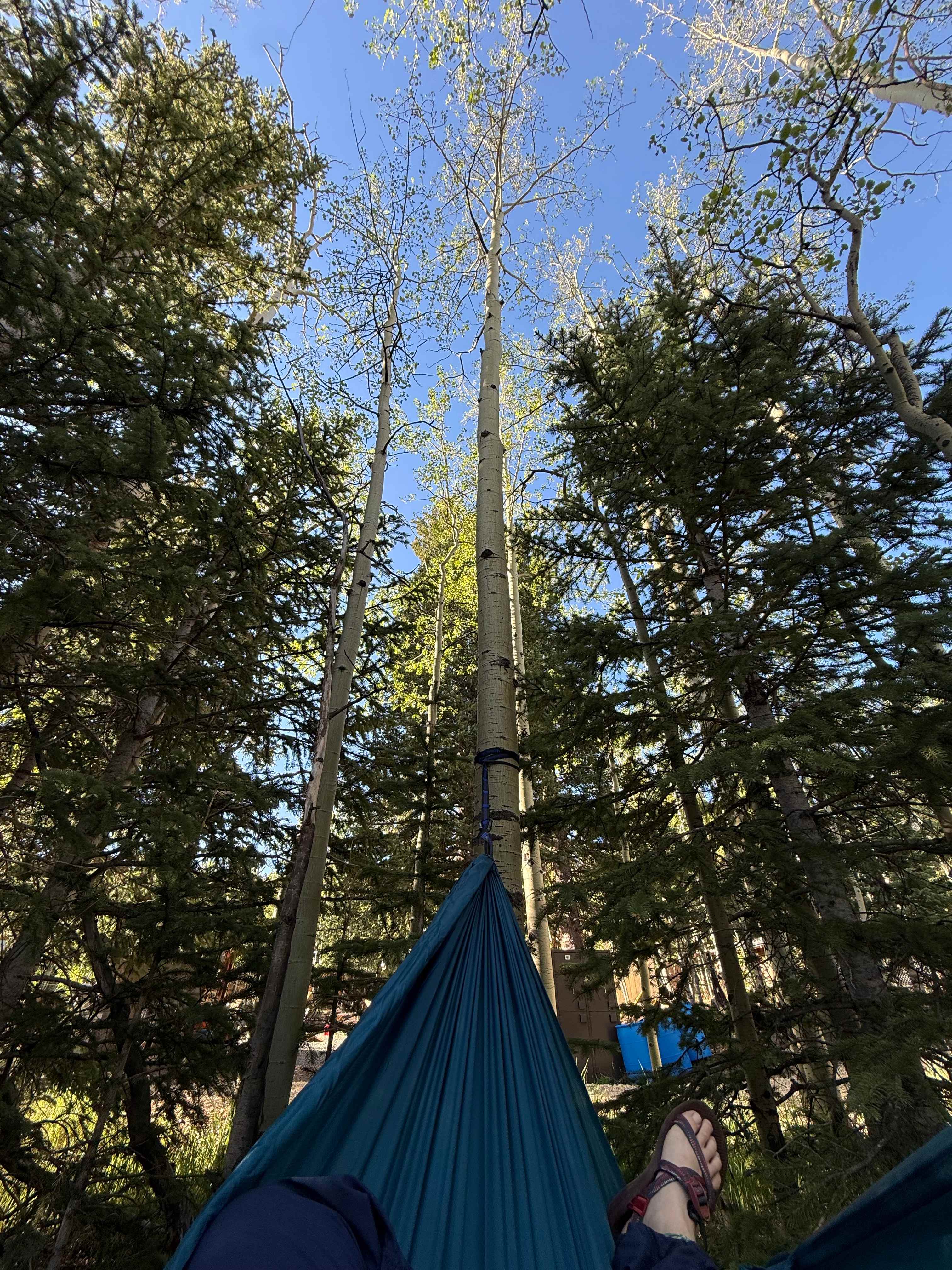 Camp Always Choose Adventures