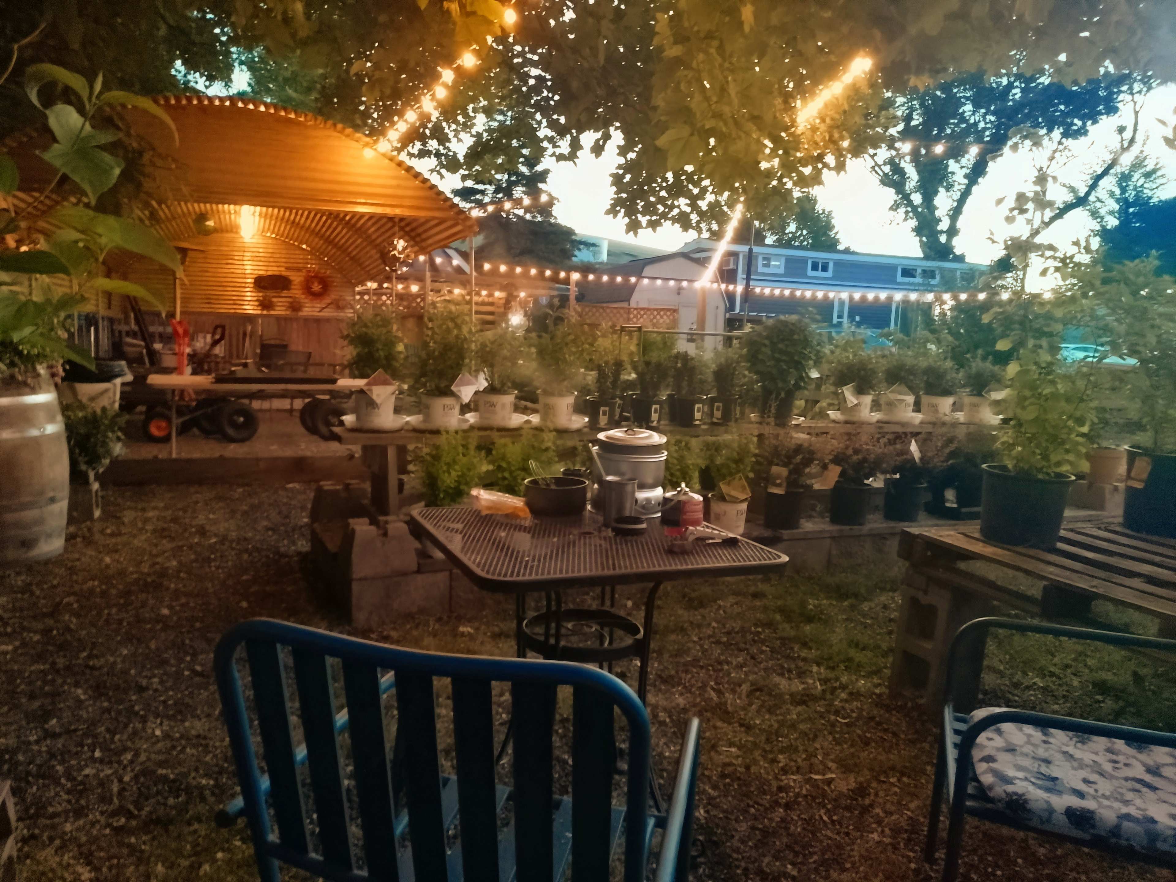 Sweet Dreams in the Garden