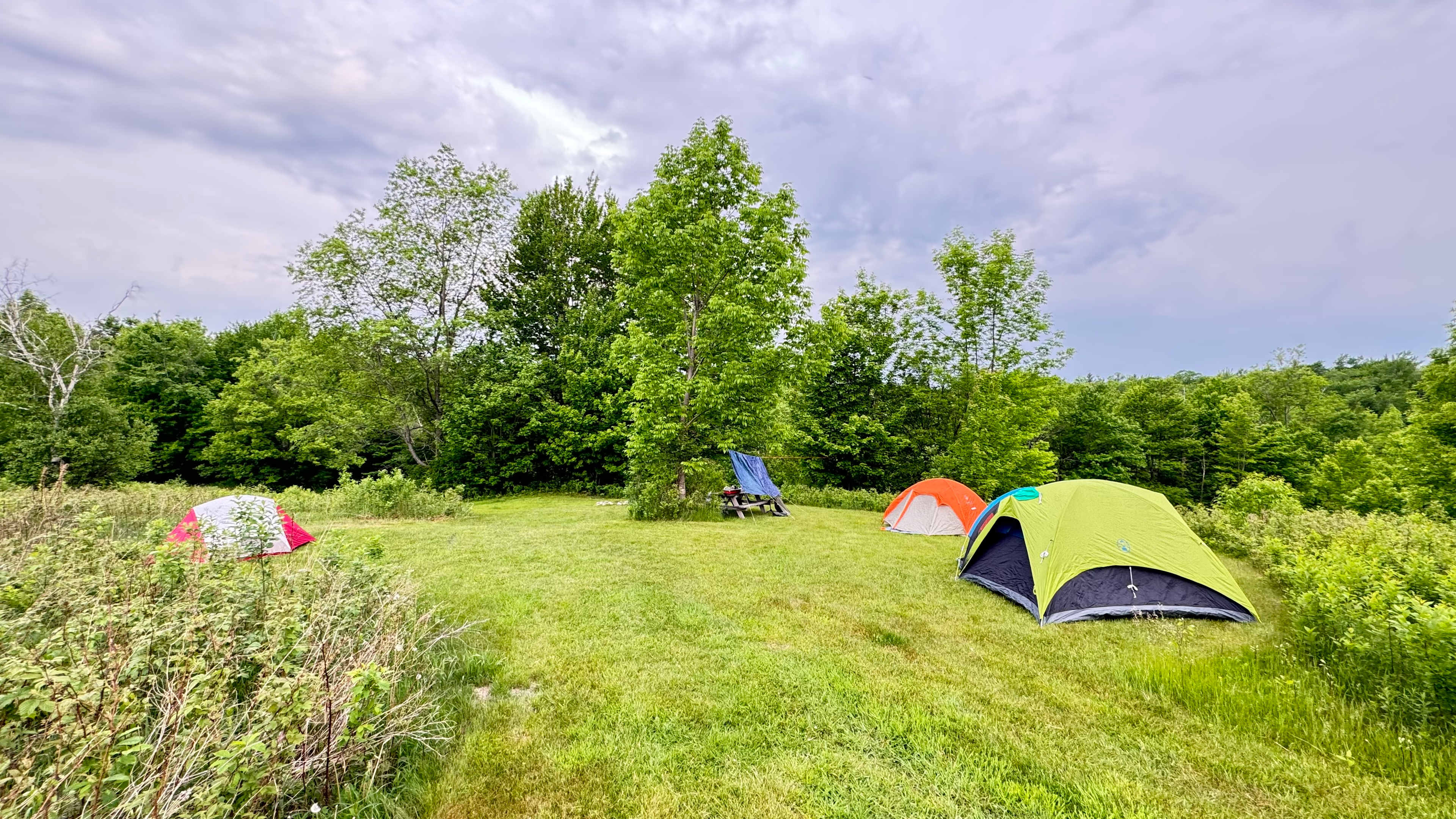 BlueberryHill  Field Camp