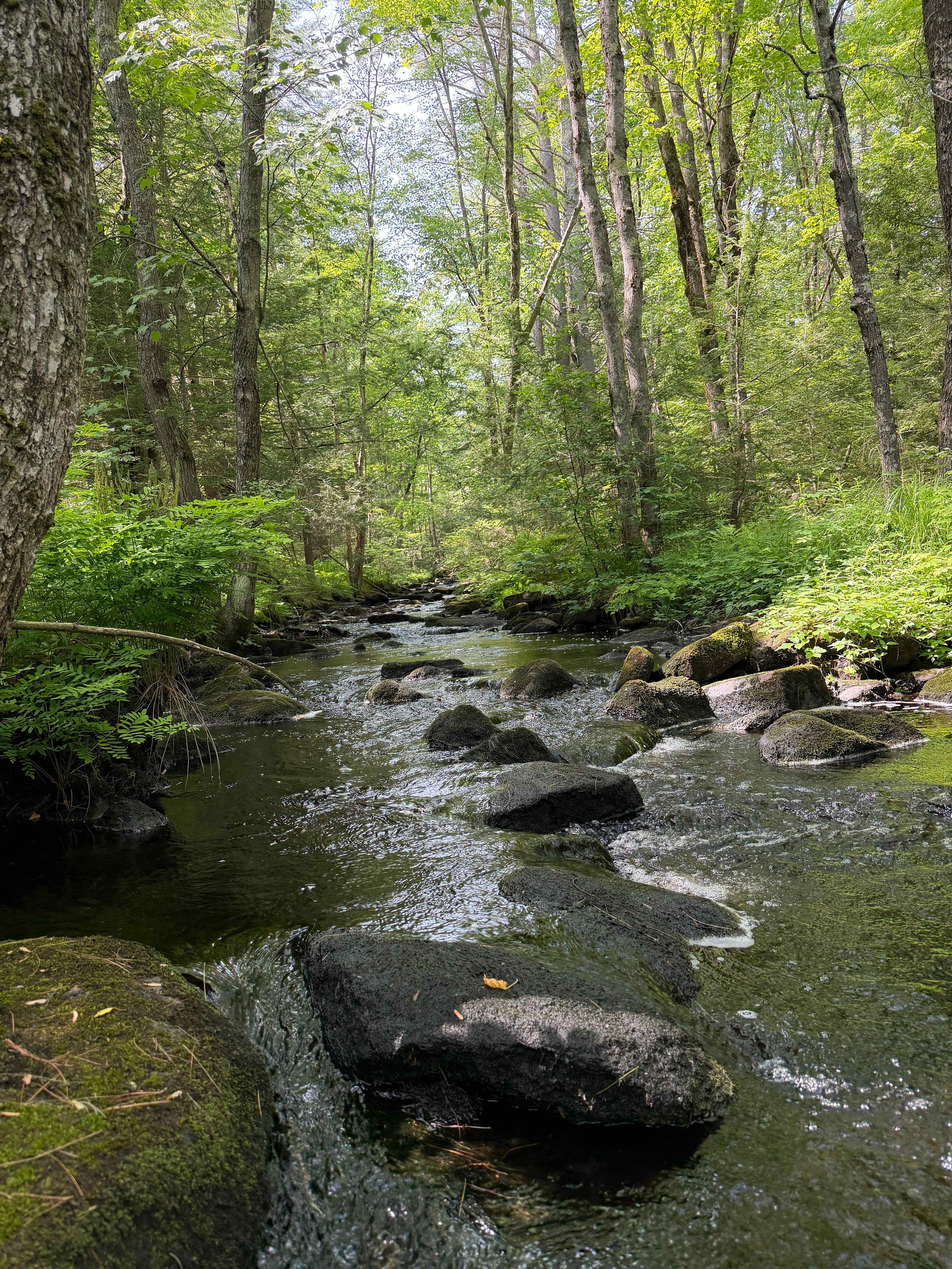 Boulder Brook