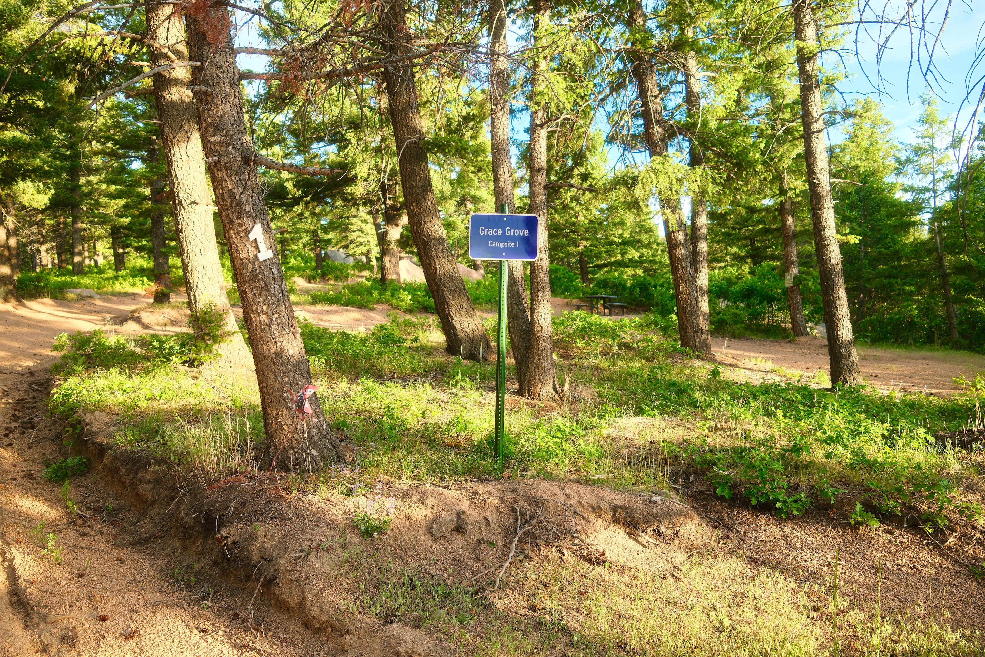 campsite 1– grace grove