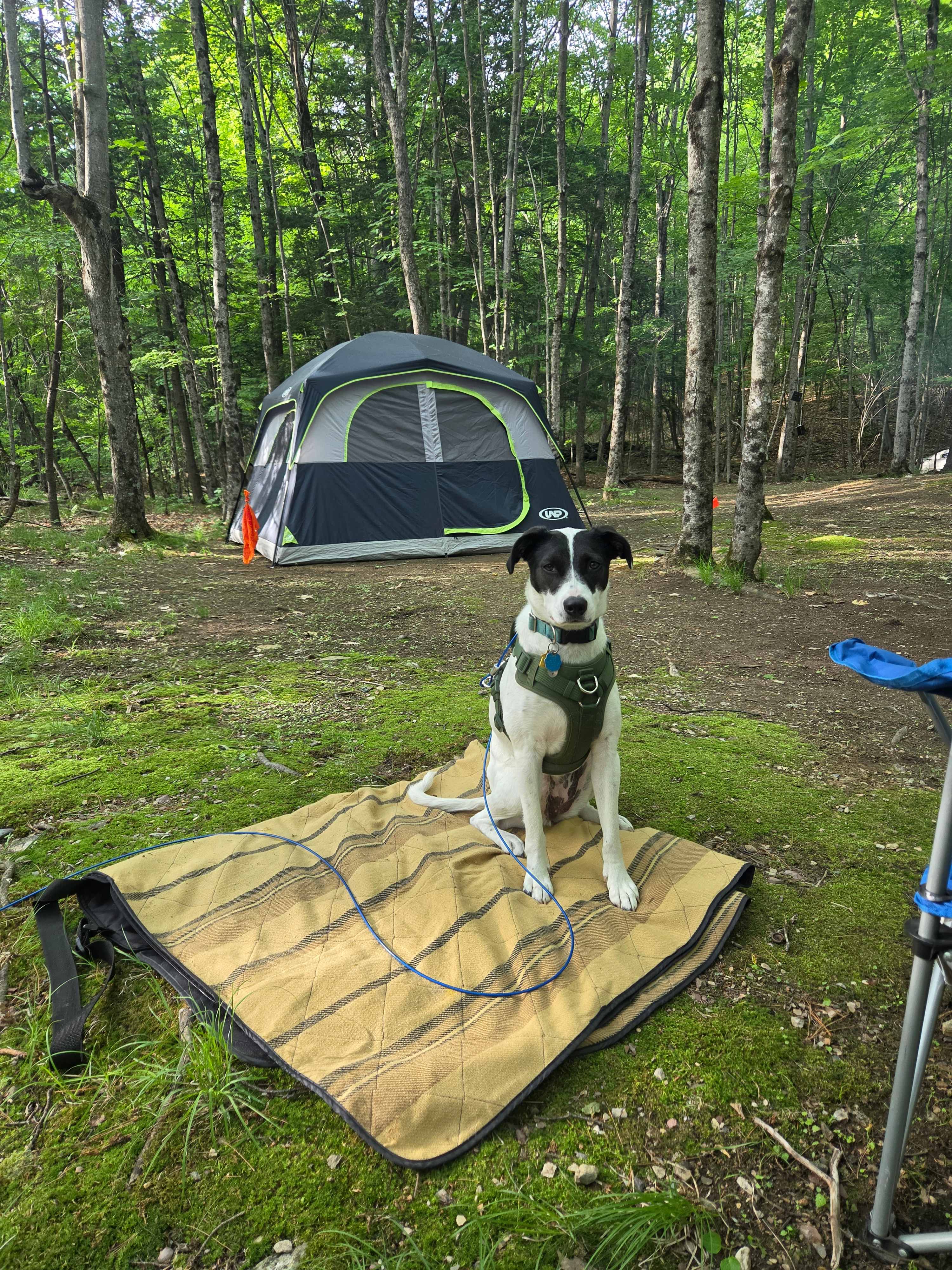 Slateville Farm Secluded Camps