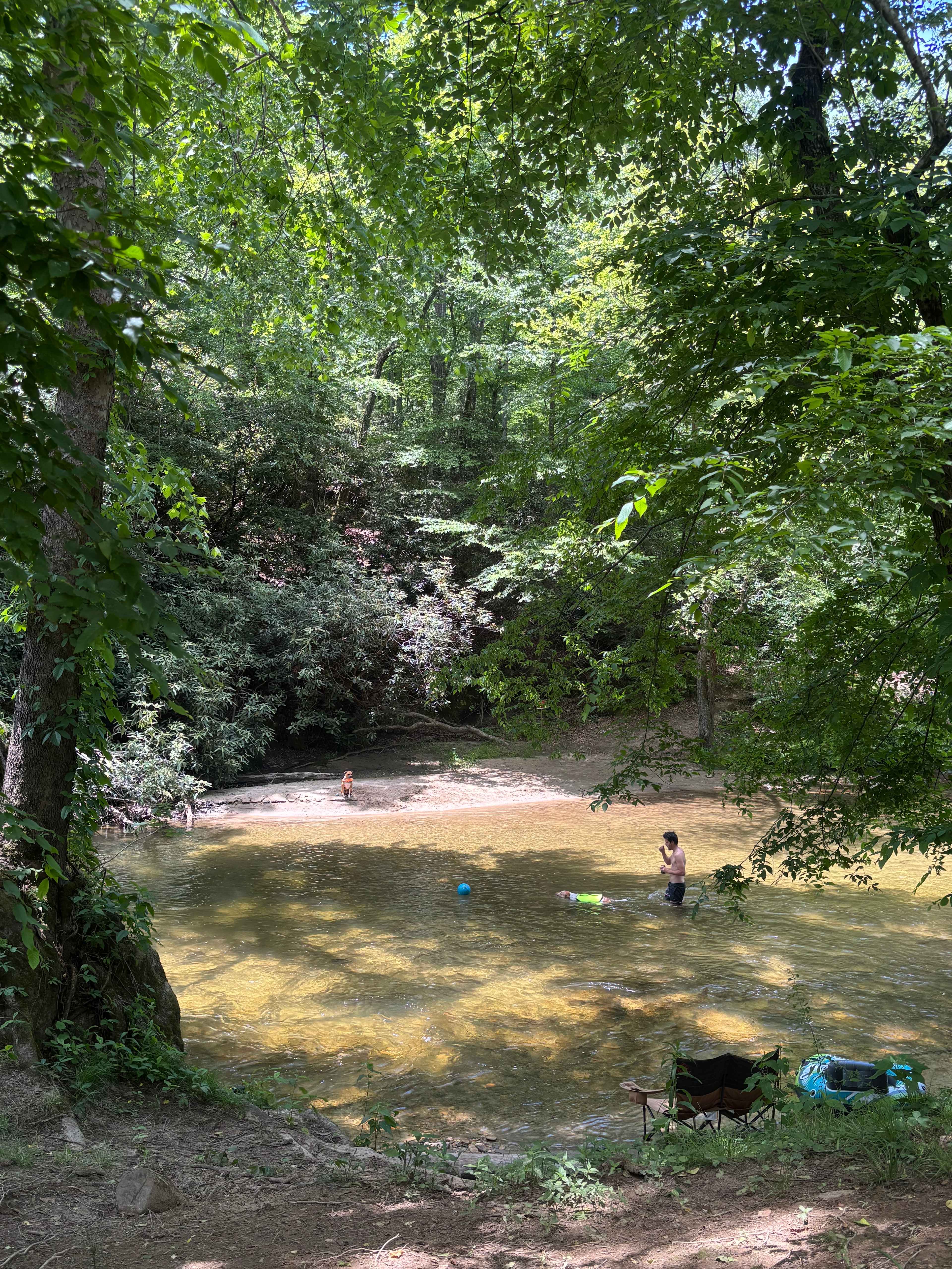 Riverside Camping on the Farm