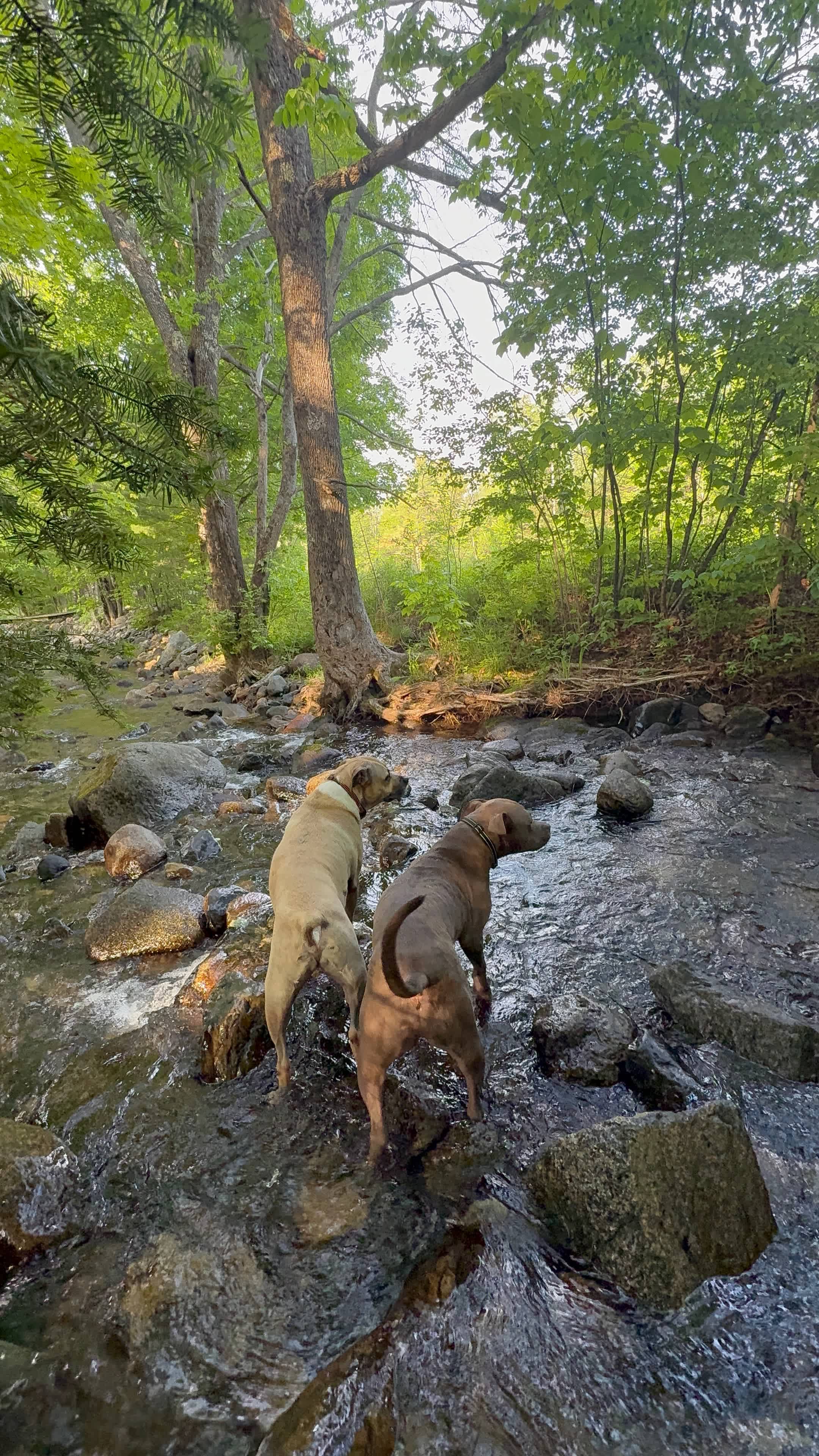 Camp Ebb and Flow