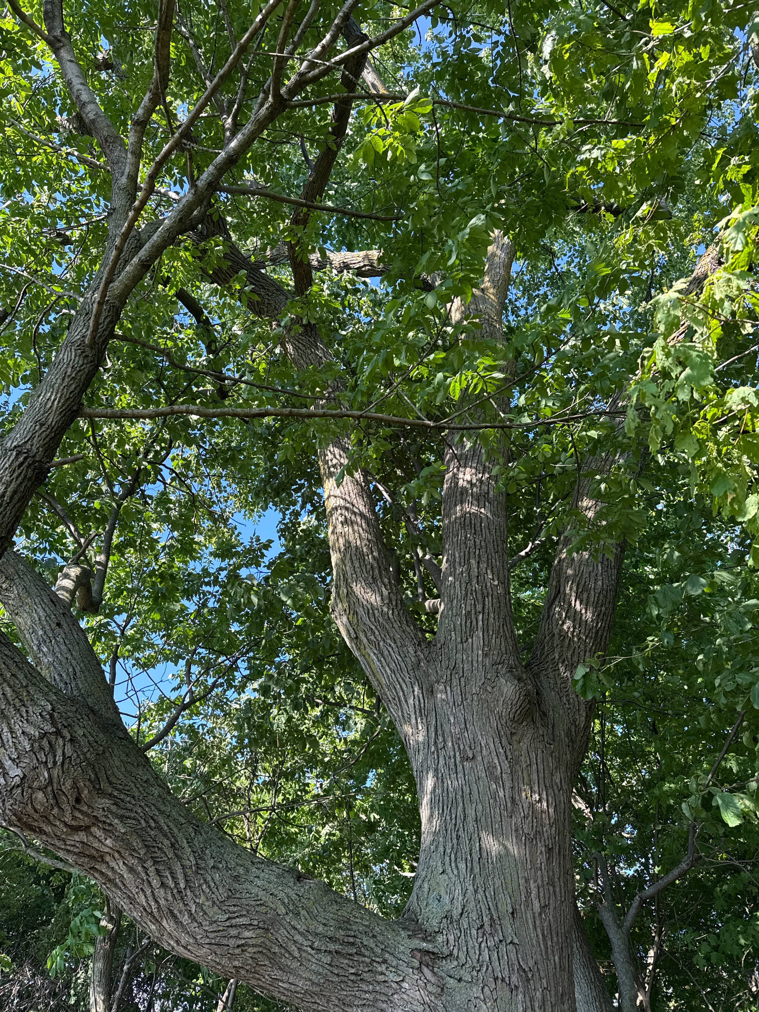 Leon's Lakeview Campground