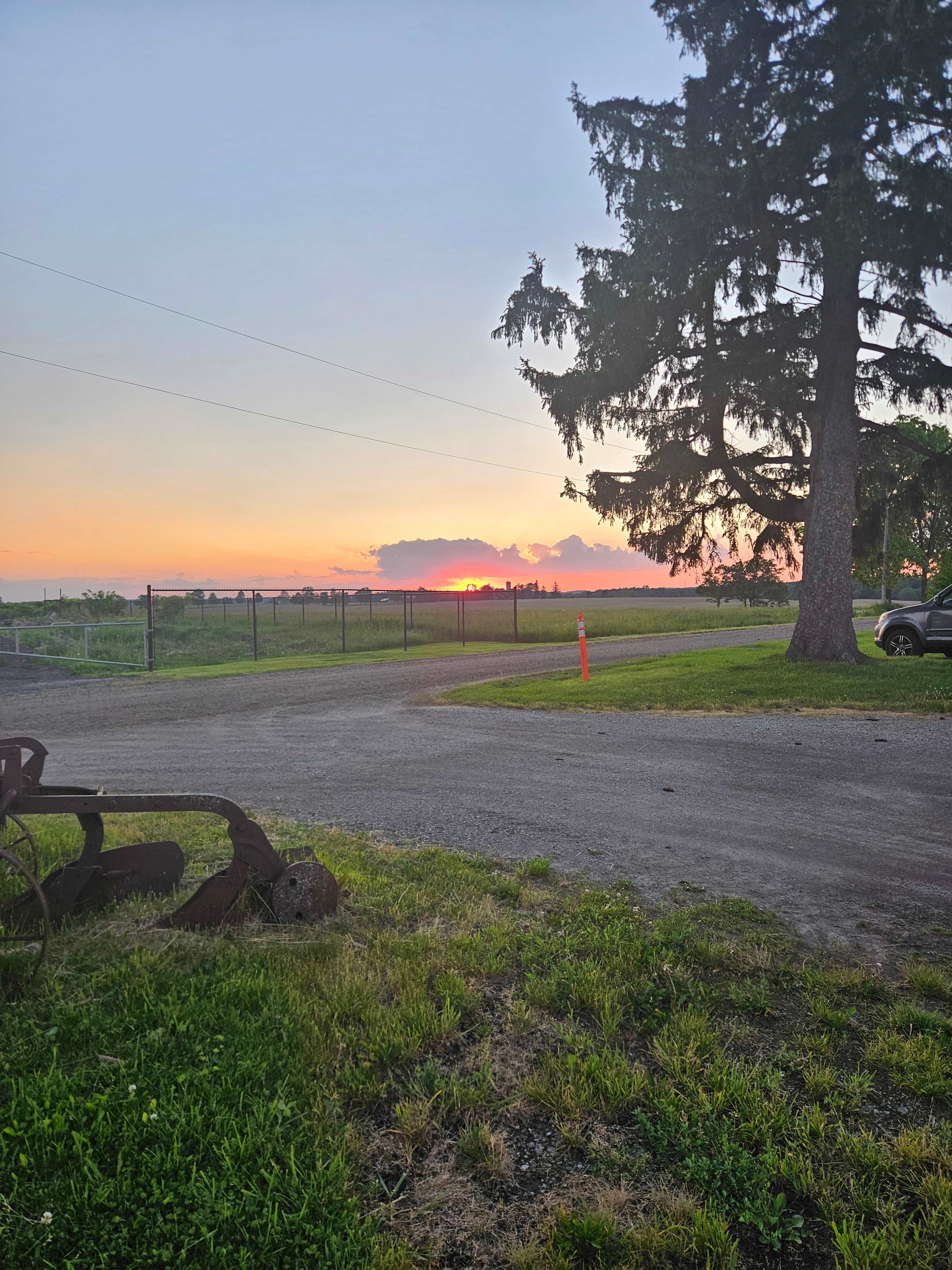 The Farm