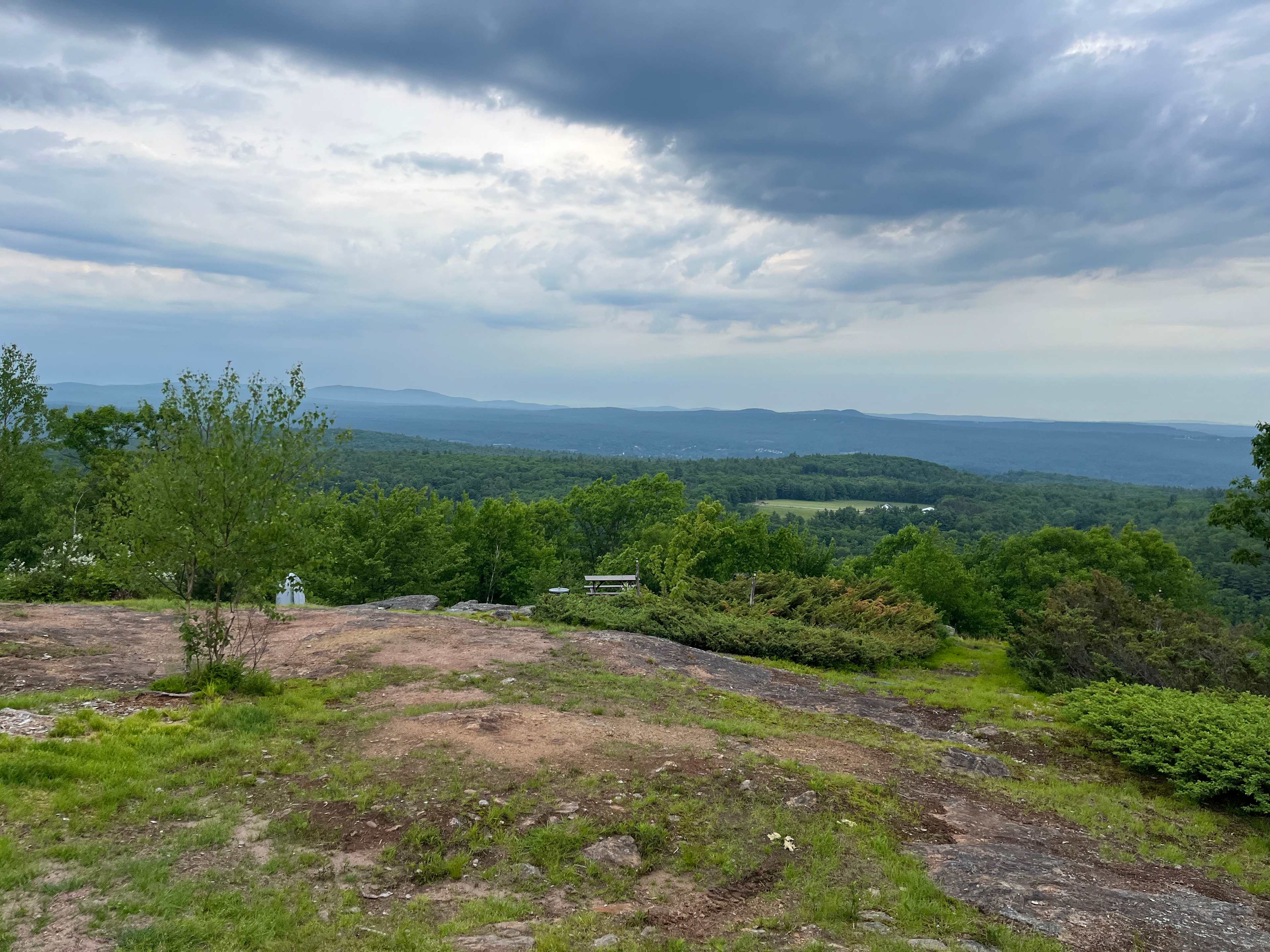 Hussey Mountain Tree Farm