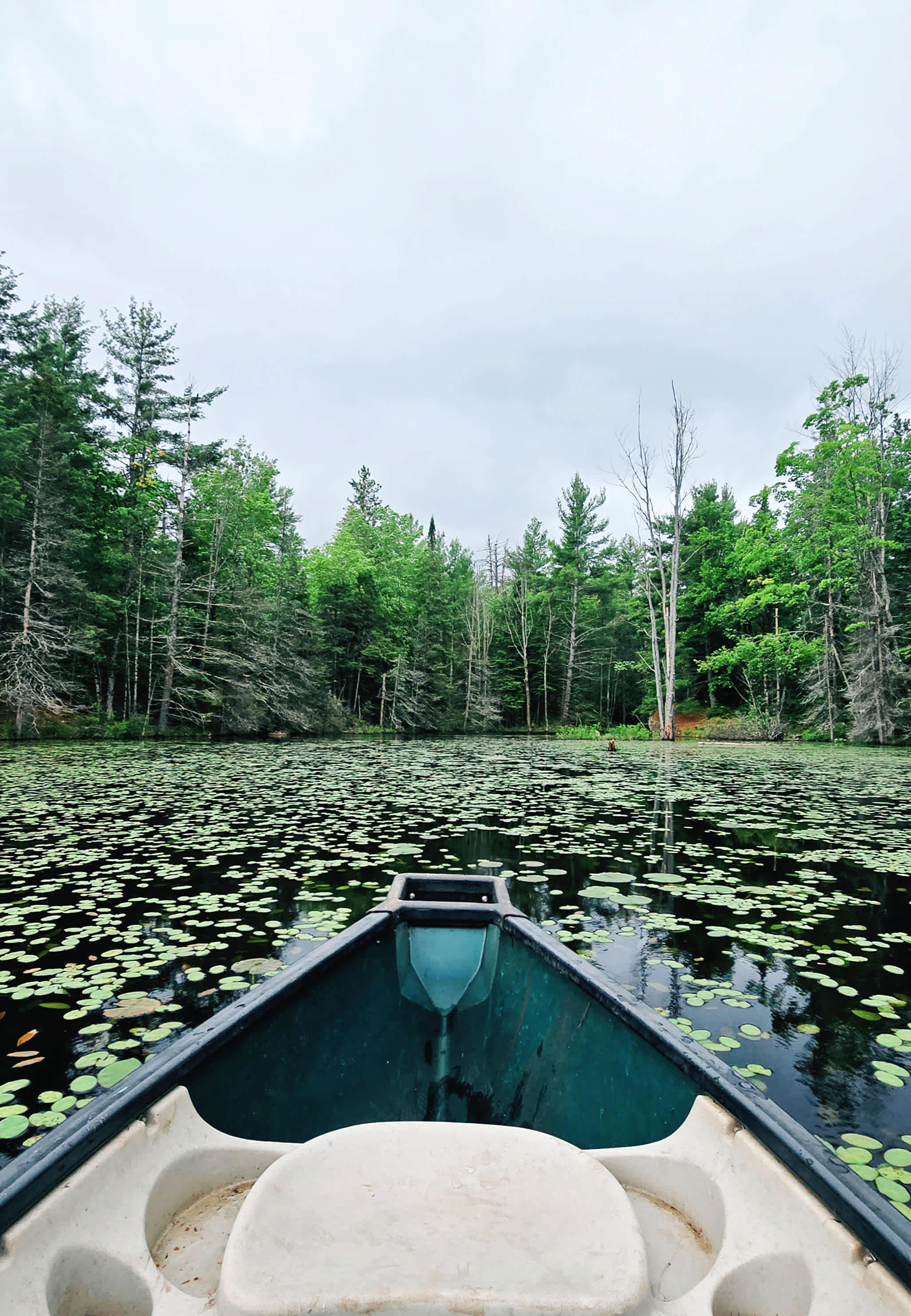 Hemlock Point Campground