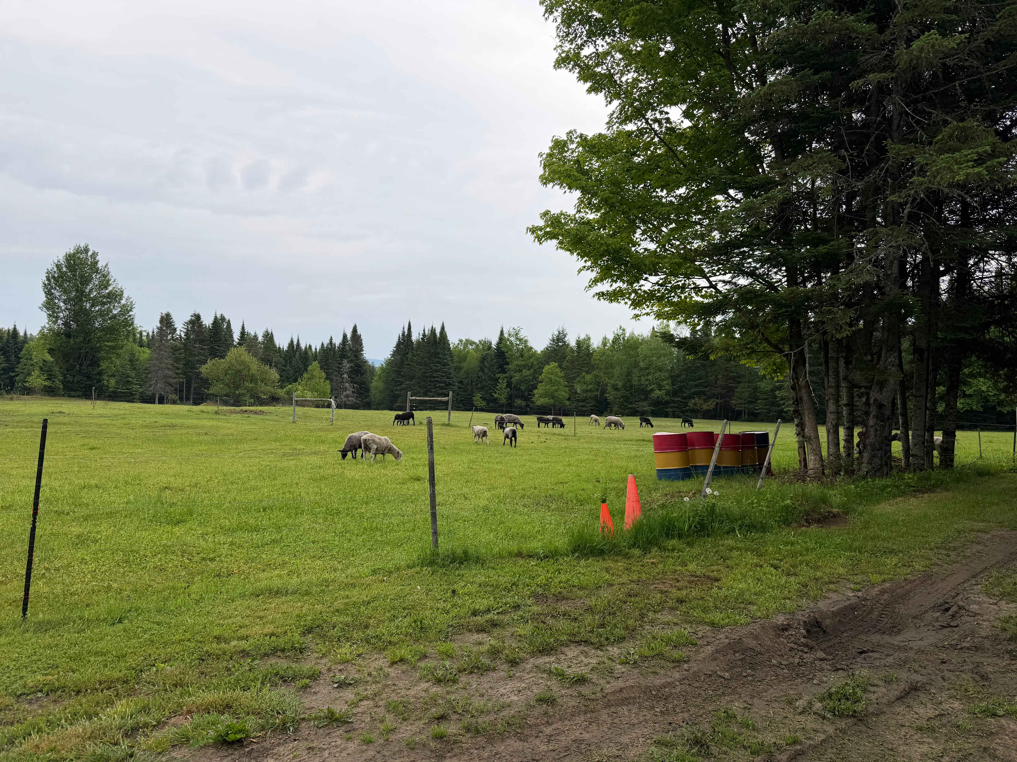 Burke Line Farm