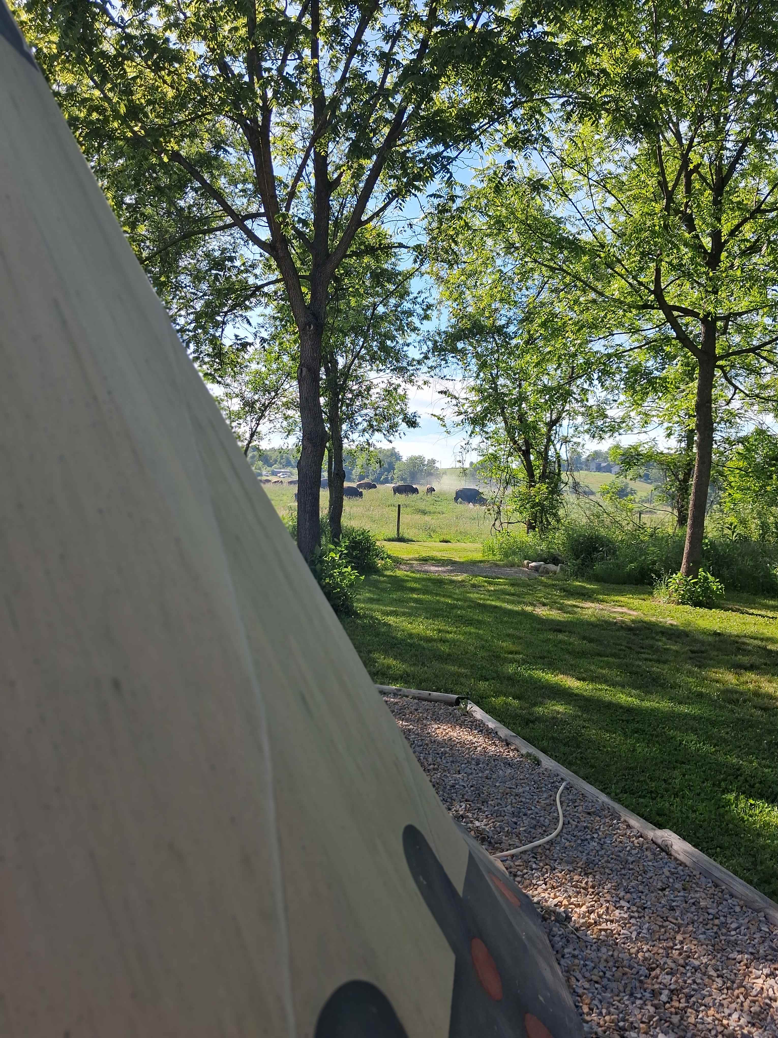 Cherokee Valley Bison Ranch Creekside Retreat