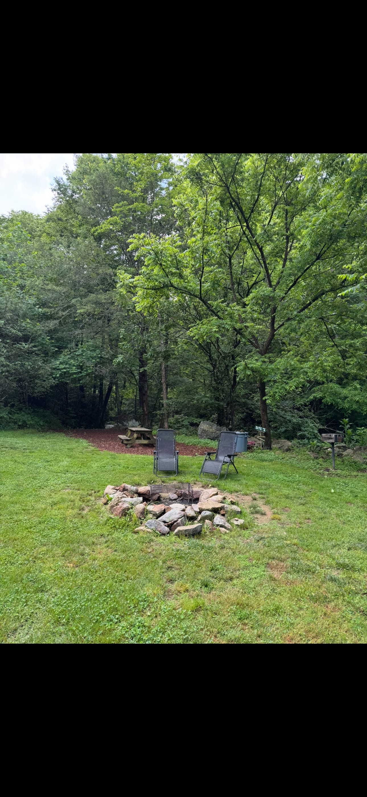 Picture of the site