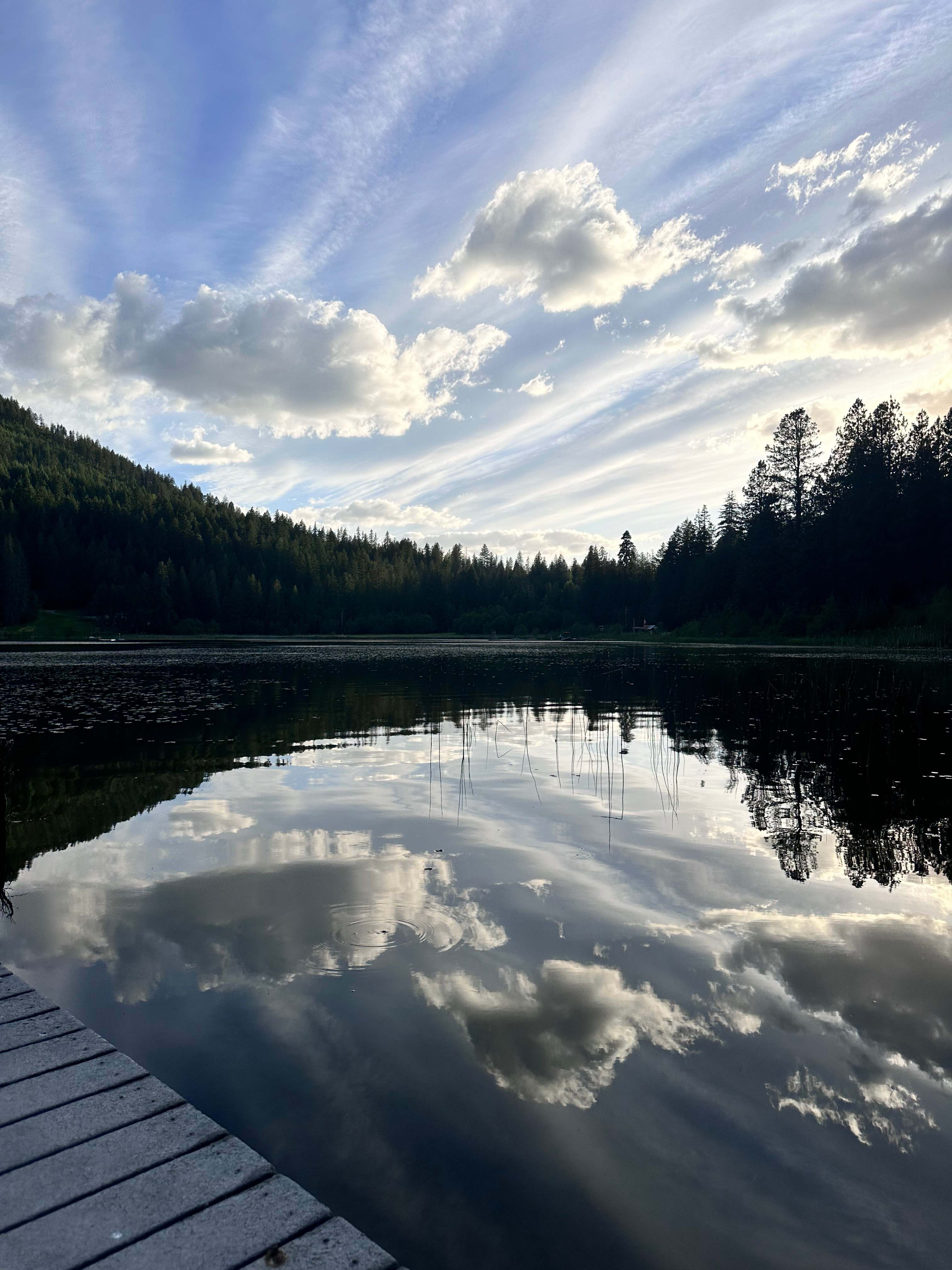 Paradise on Mirror Lake