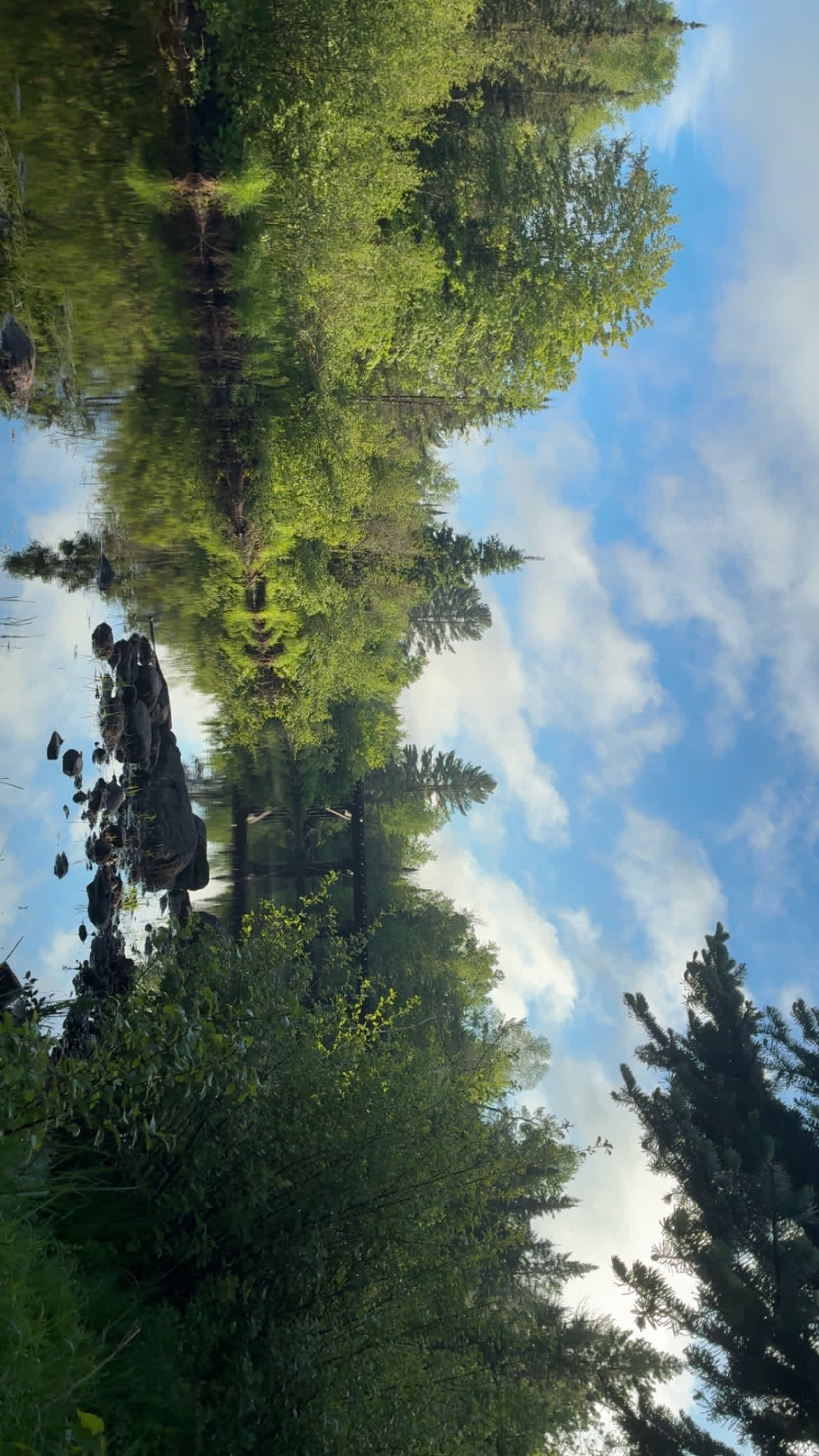 Bad River Wilderness