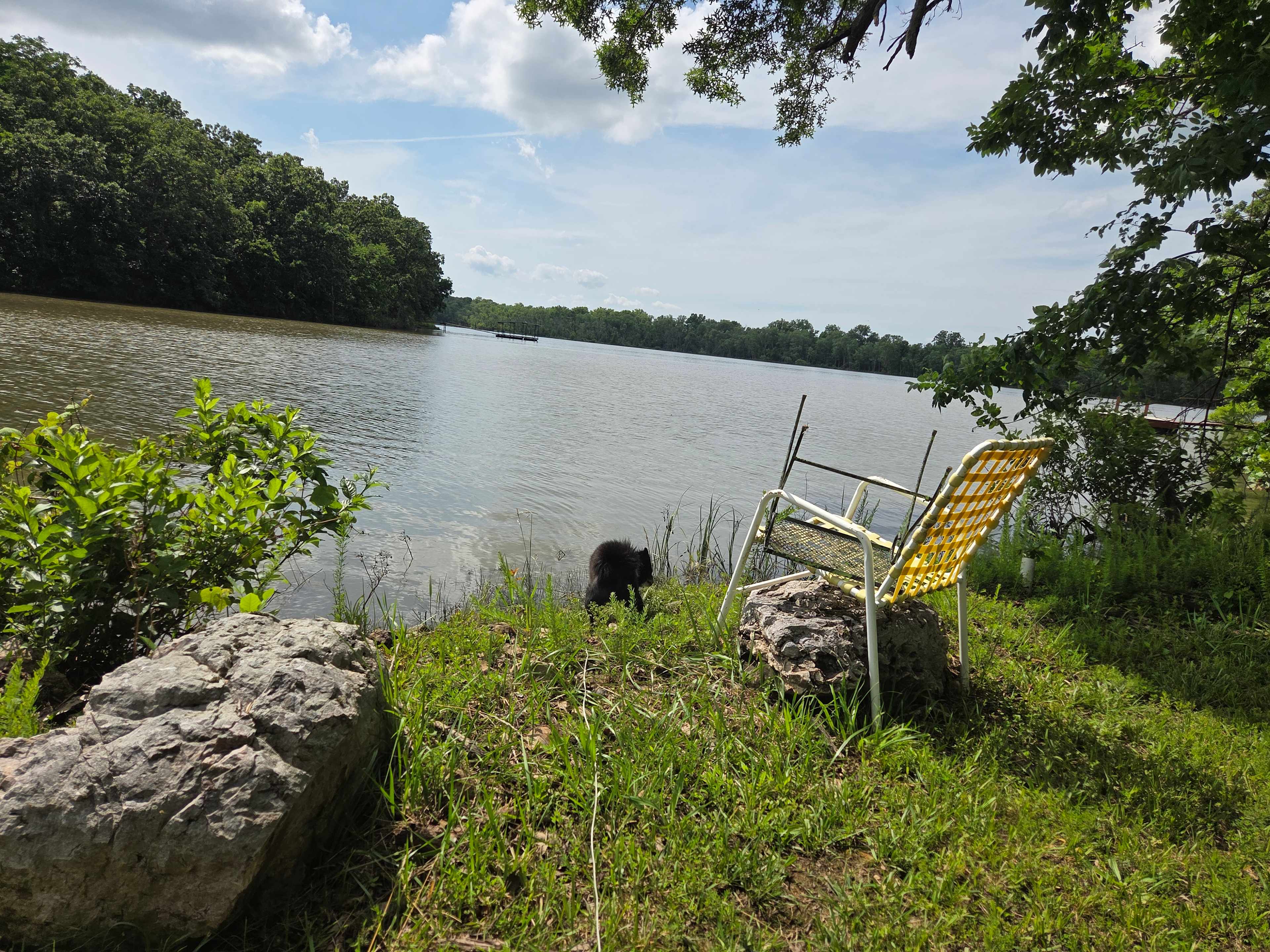 Sawmill Hollow Creek
