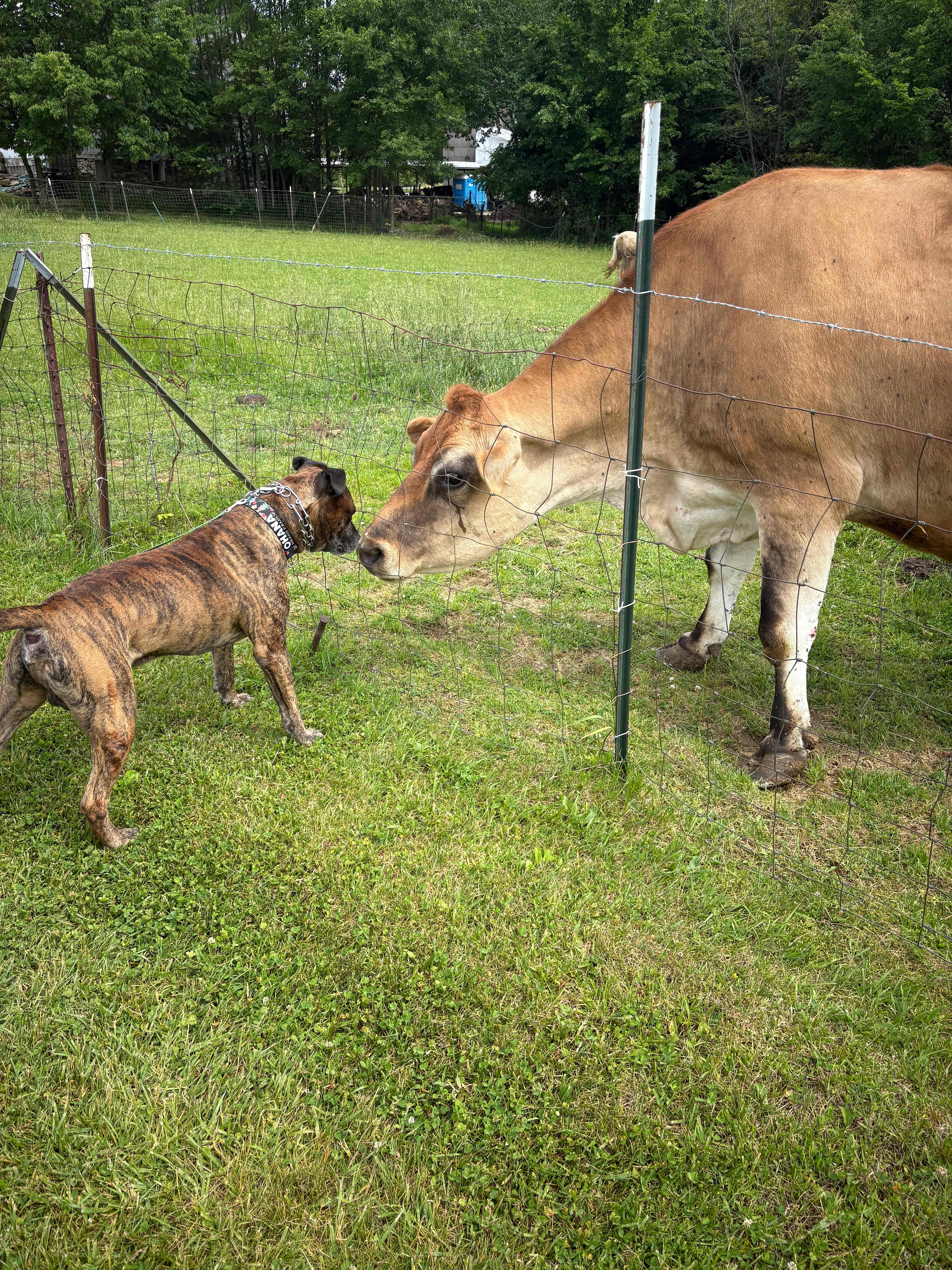 They wanted to be friends.
