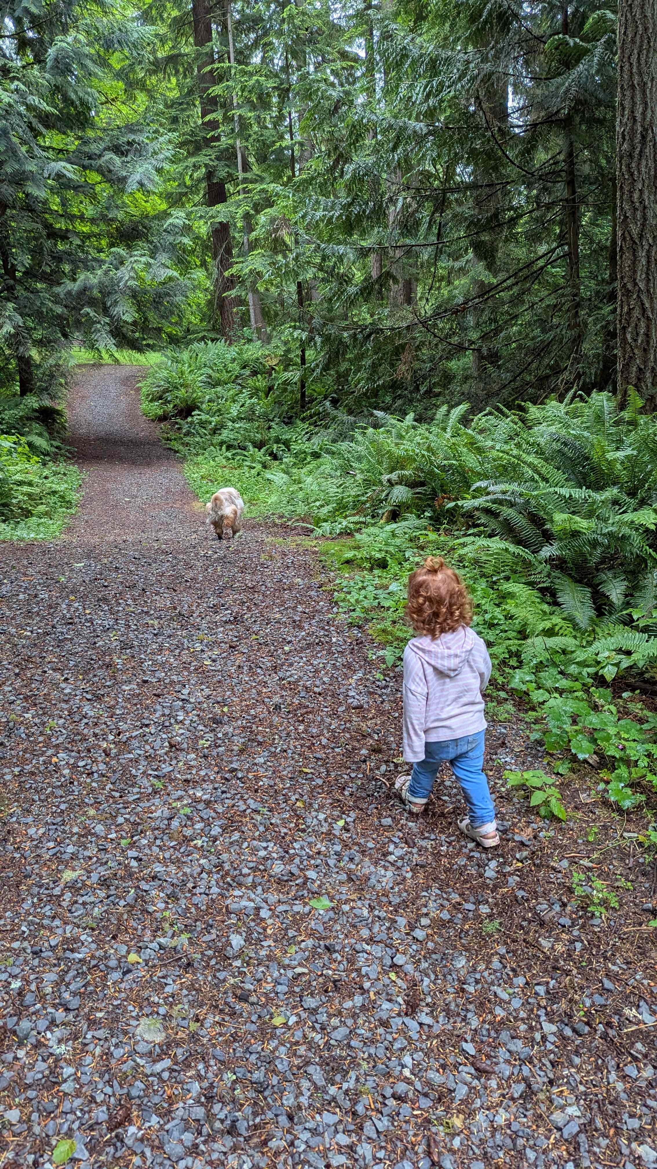 Grace E.’s Mini Forest Cabins