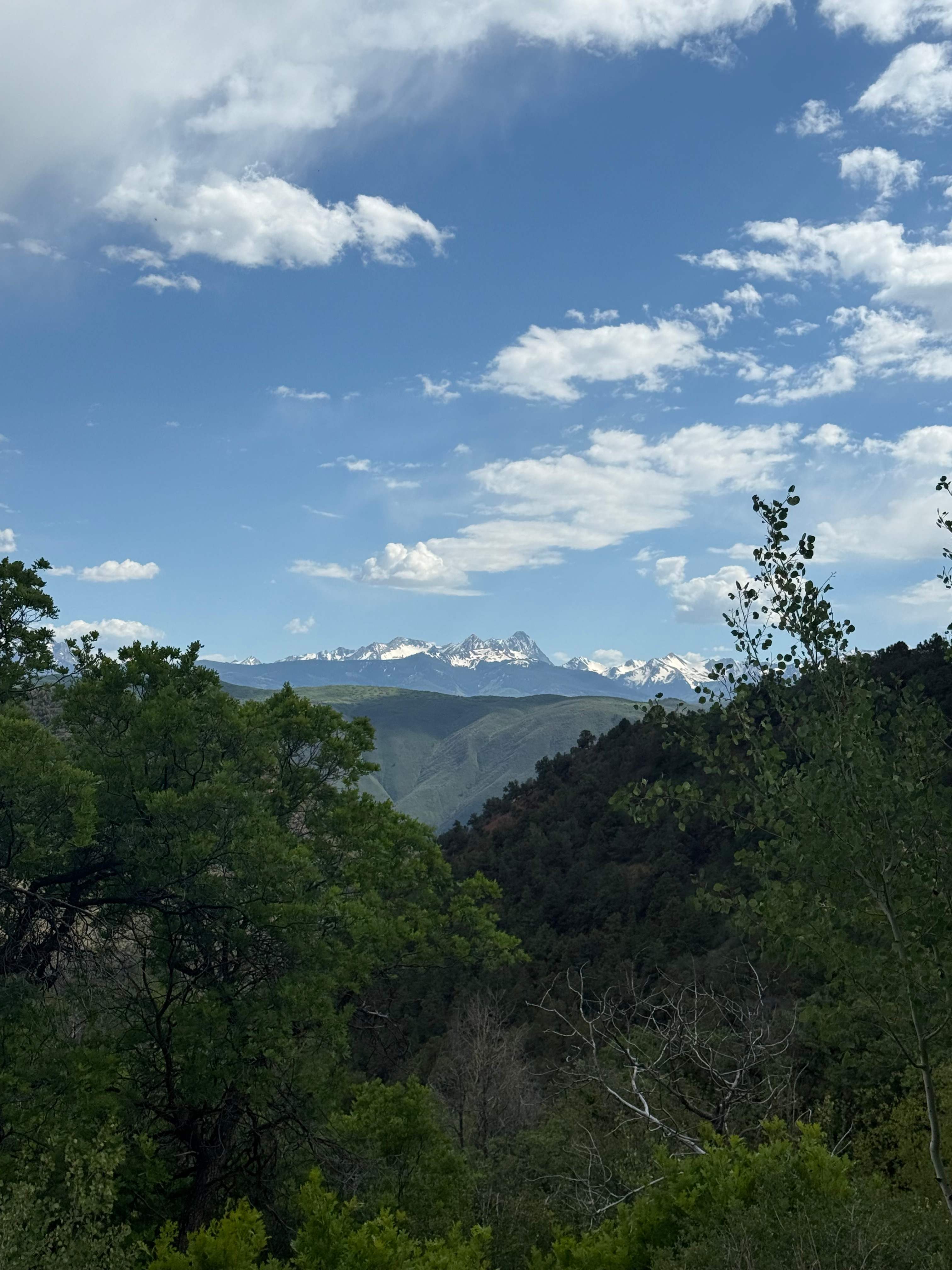 Basalt Mountain Homestead