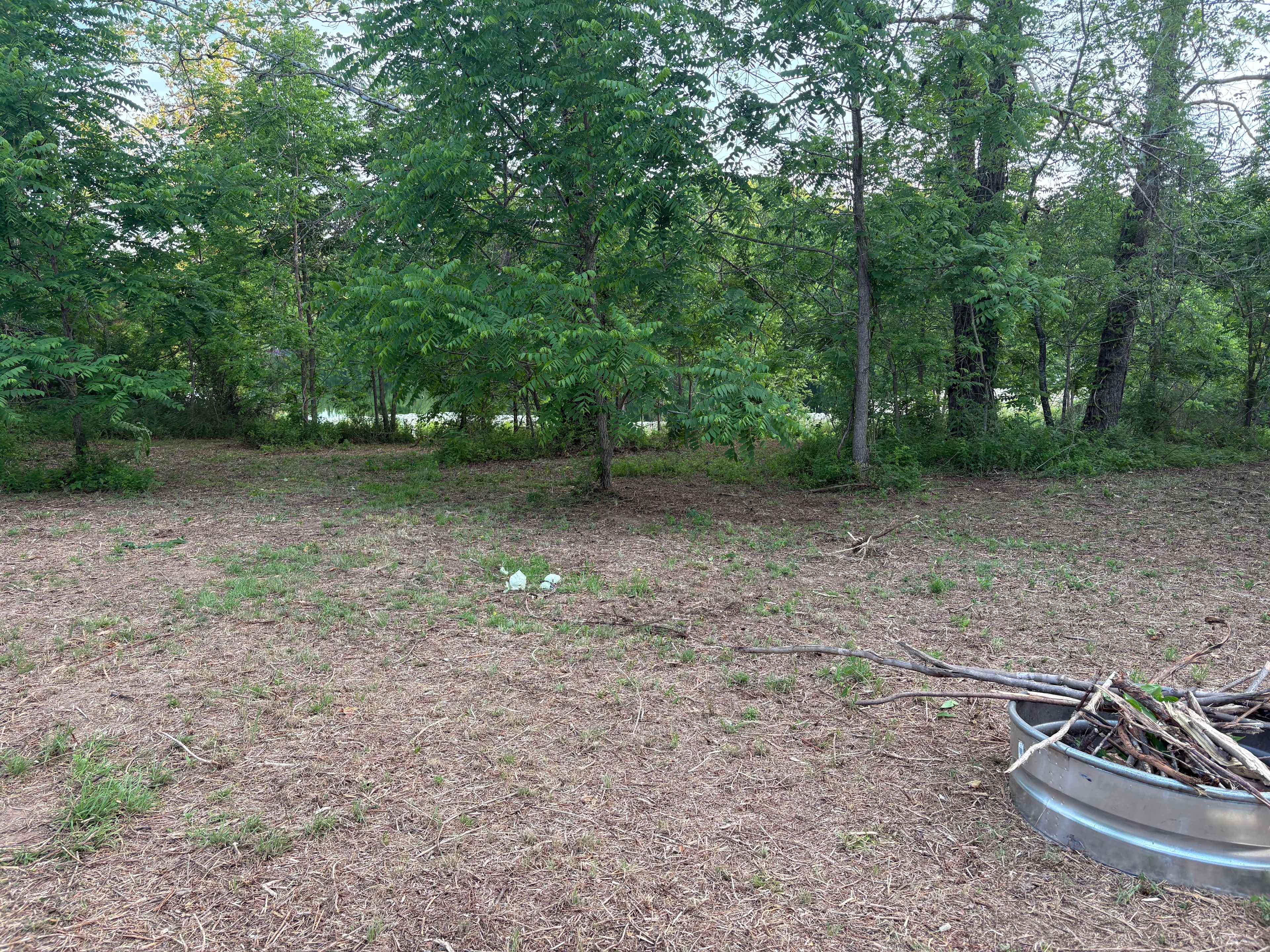 (Treasure cove camp) From the campsite looking down toward the lake