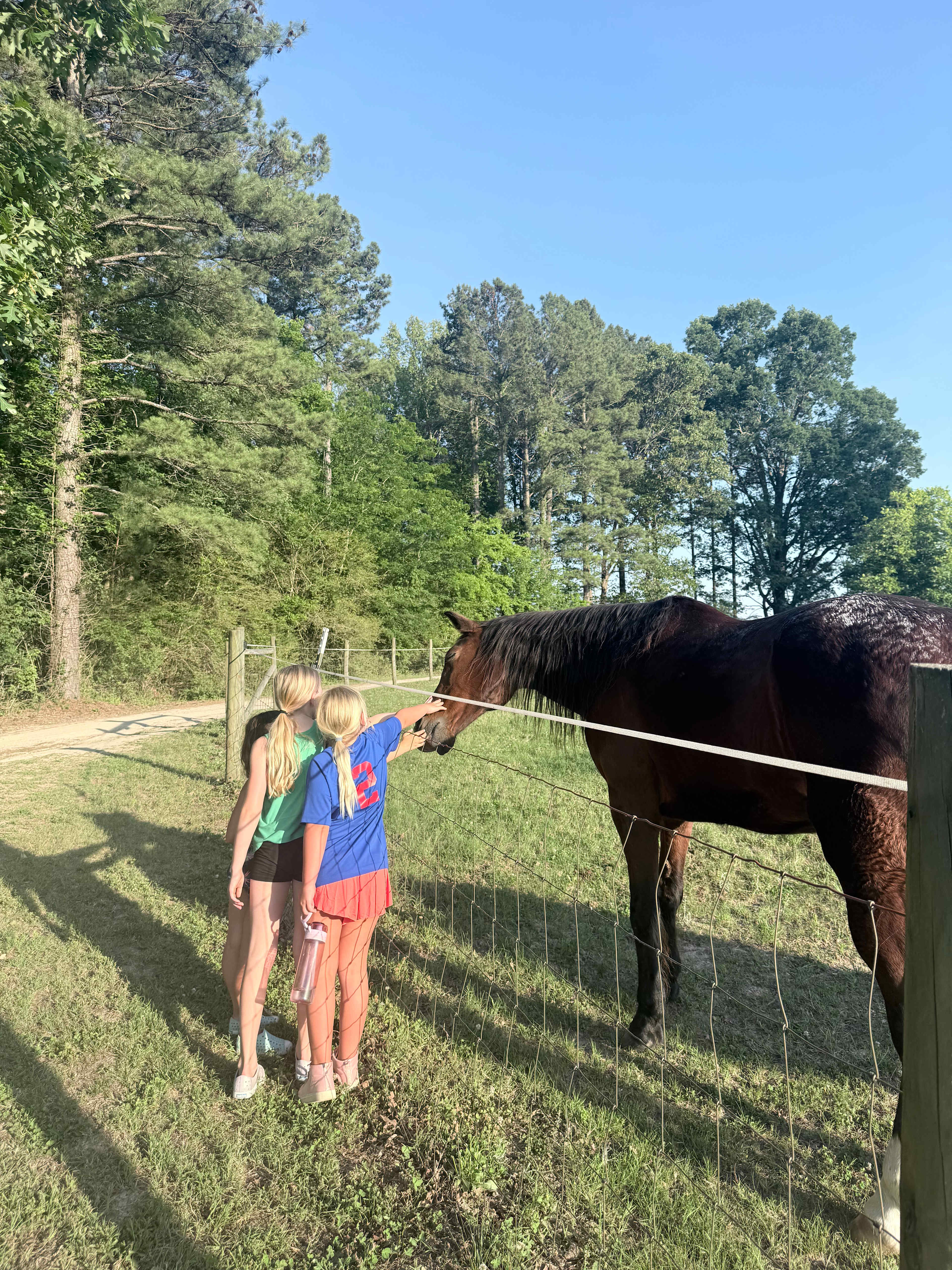 Kerr Lake Glamping at Holly Forest
