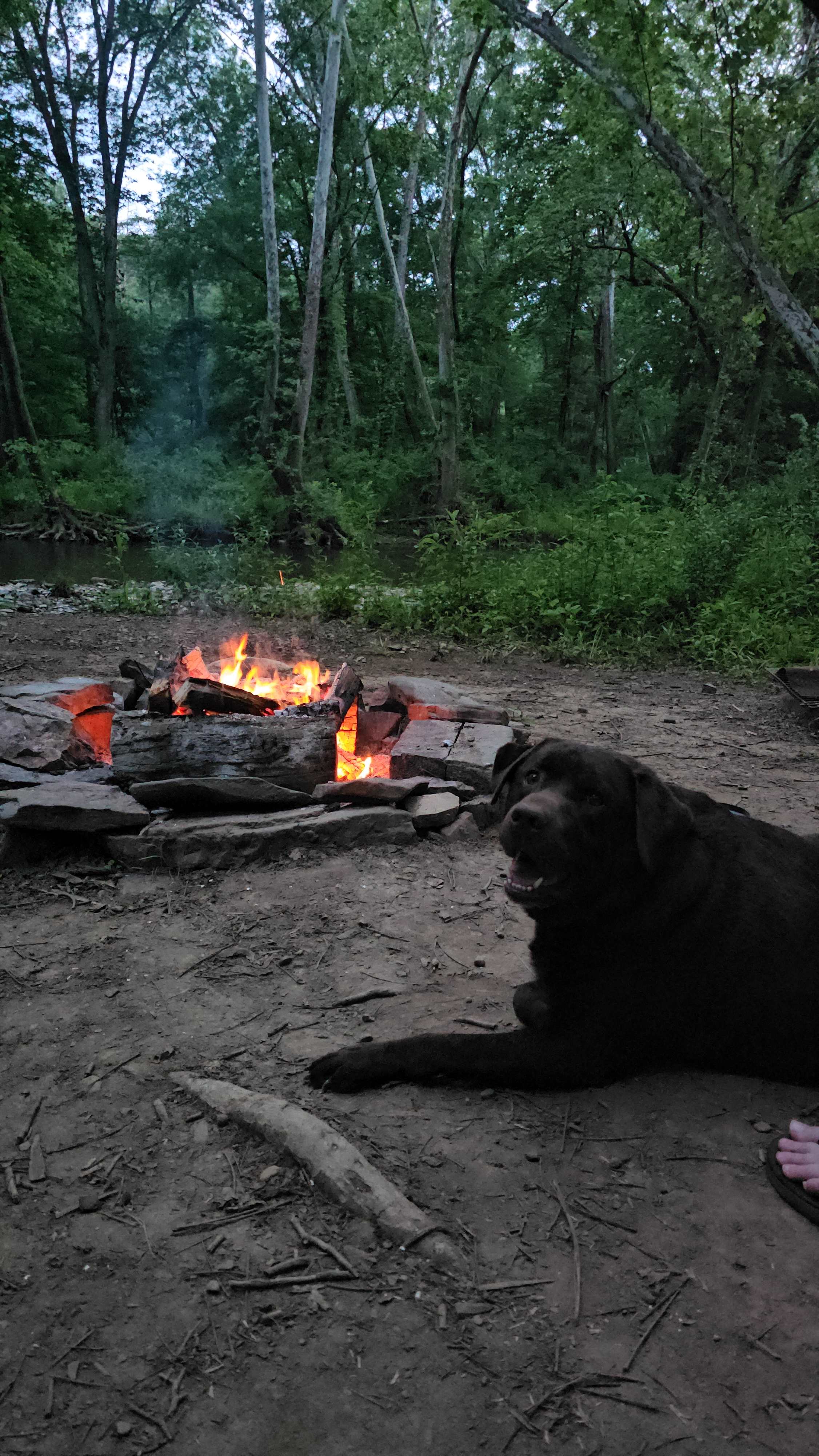 Camp Cedar Creek