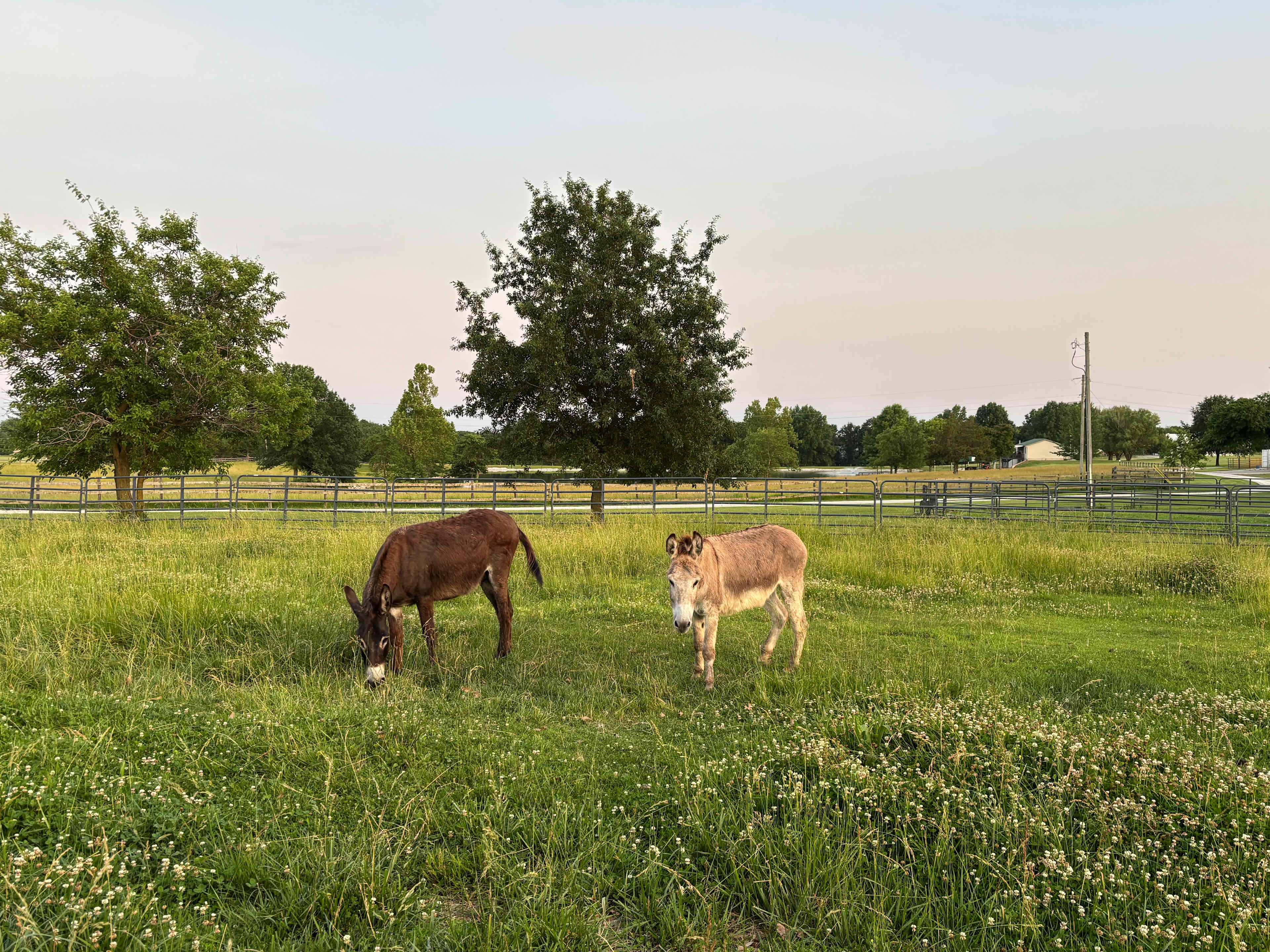 Double Hearts Ranch