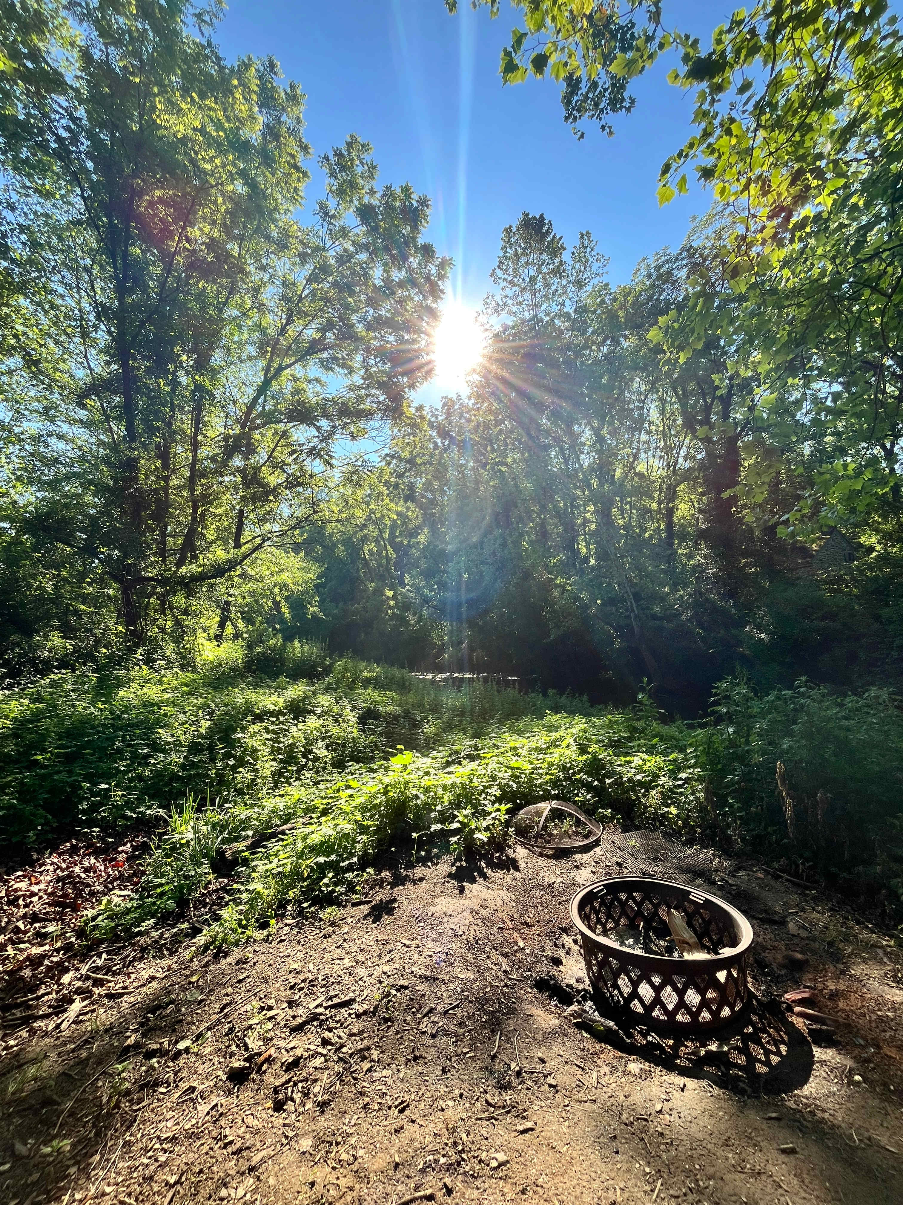 Laureleye Farms