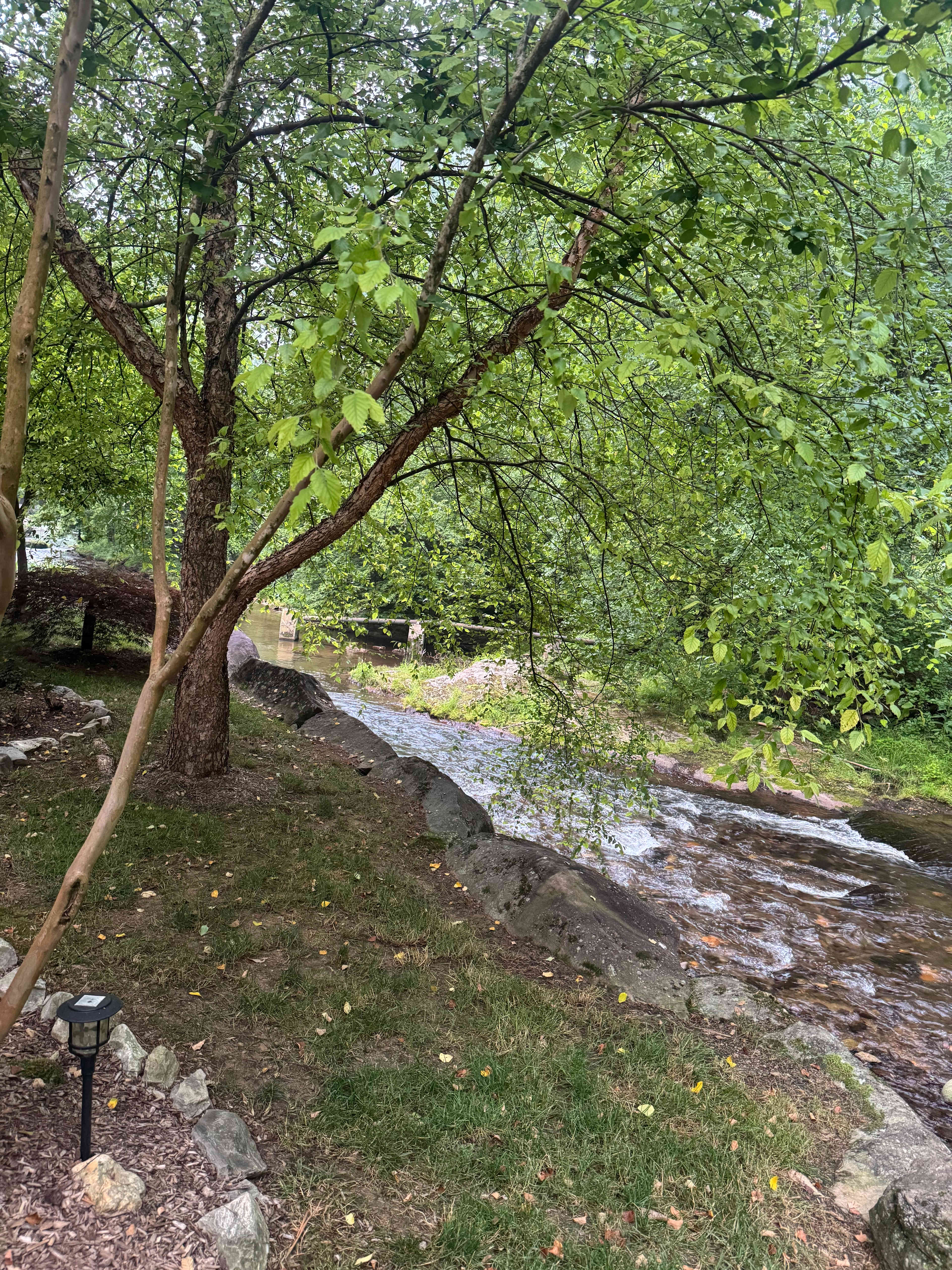 By The Creek Campspot