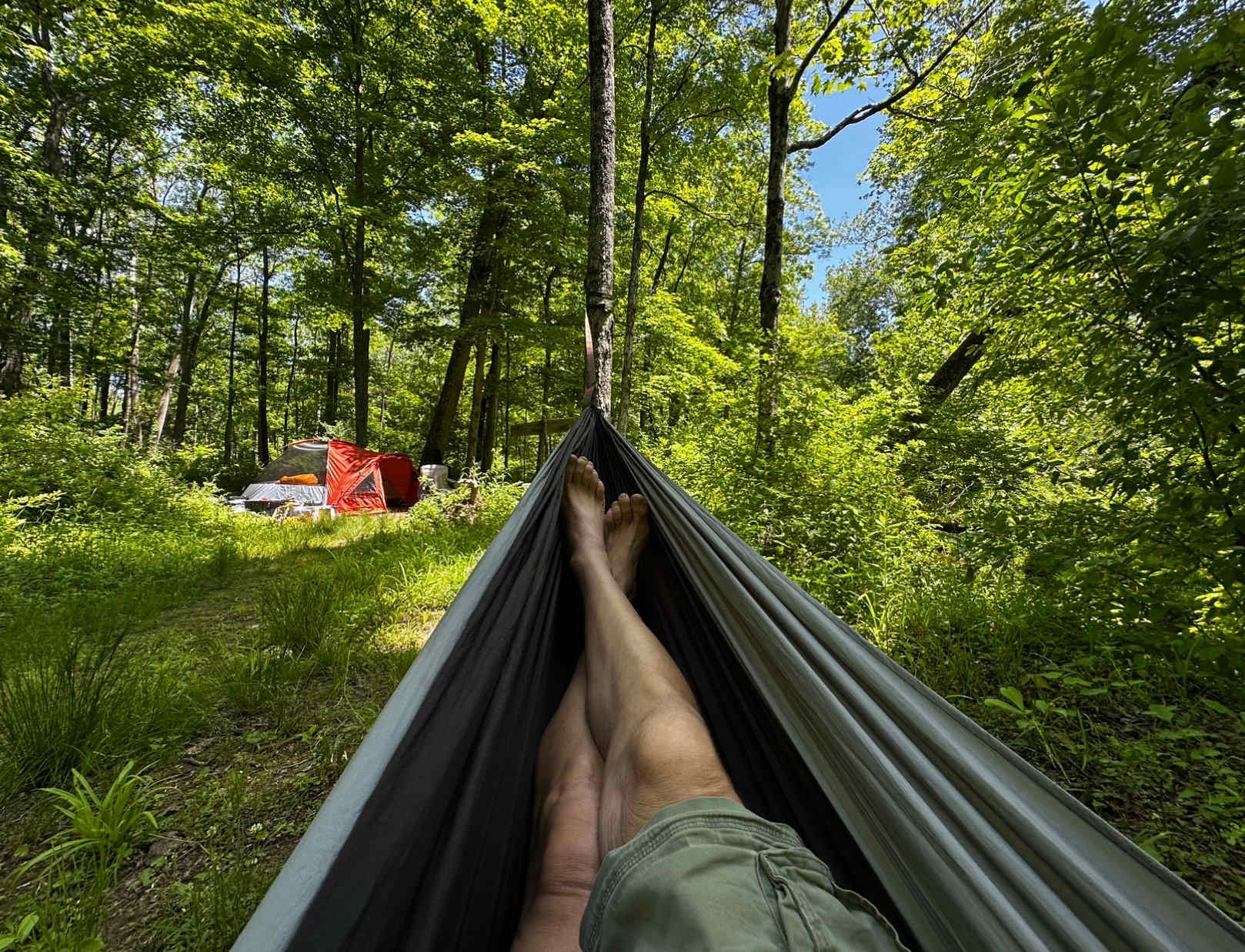 View from the hammock looking at camp.  Stream is just to the right of the hammock.