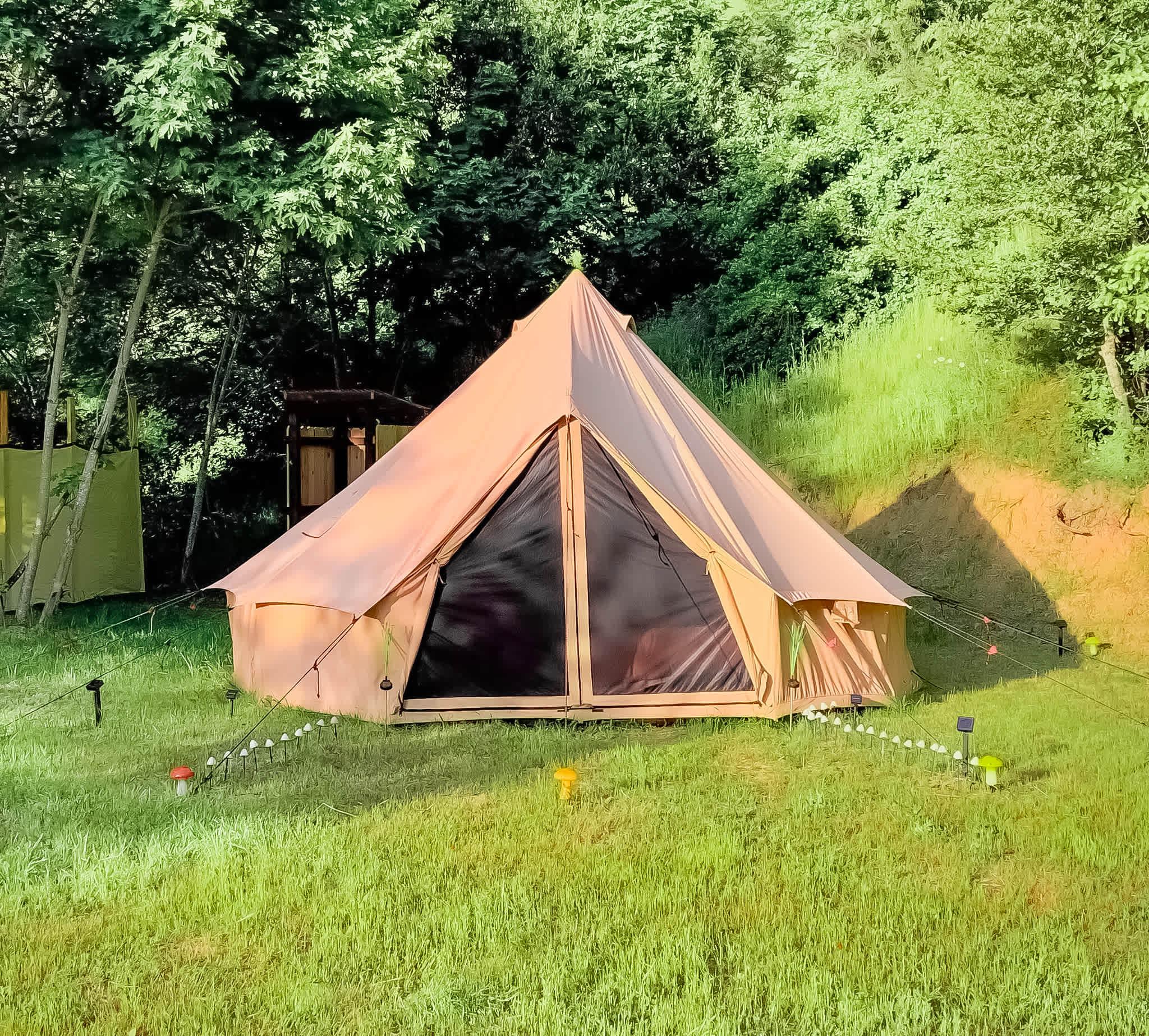 Picture of the site