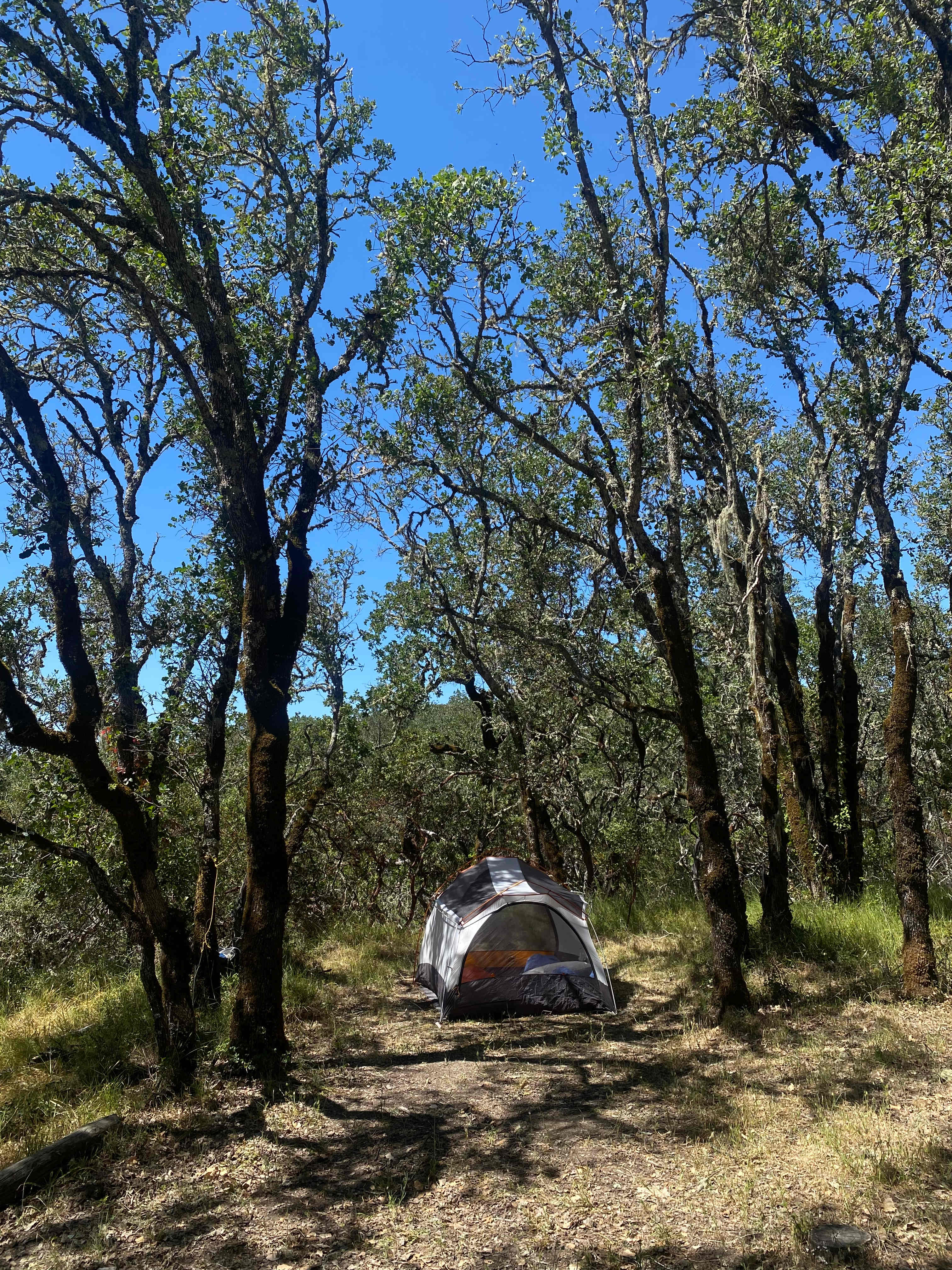 Dylan's Ranch at Whaleback Ridge