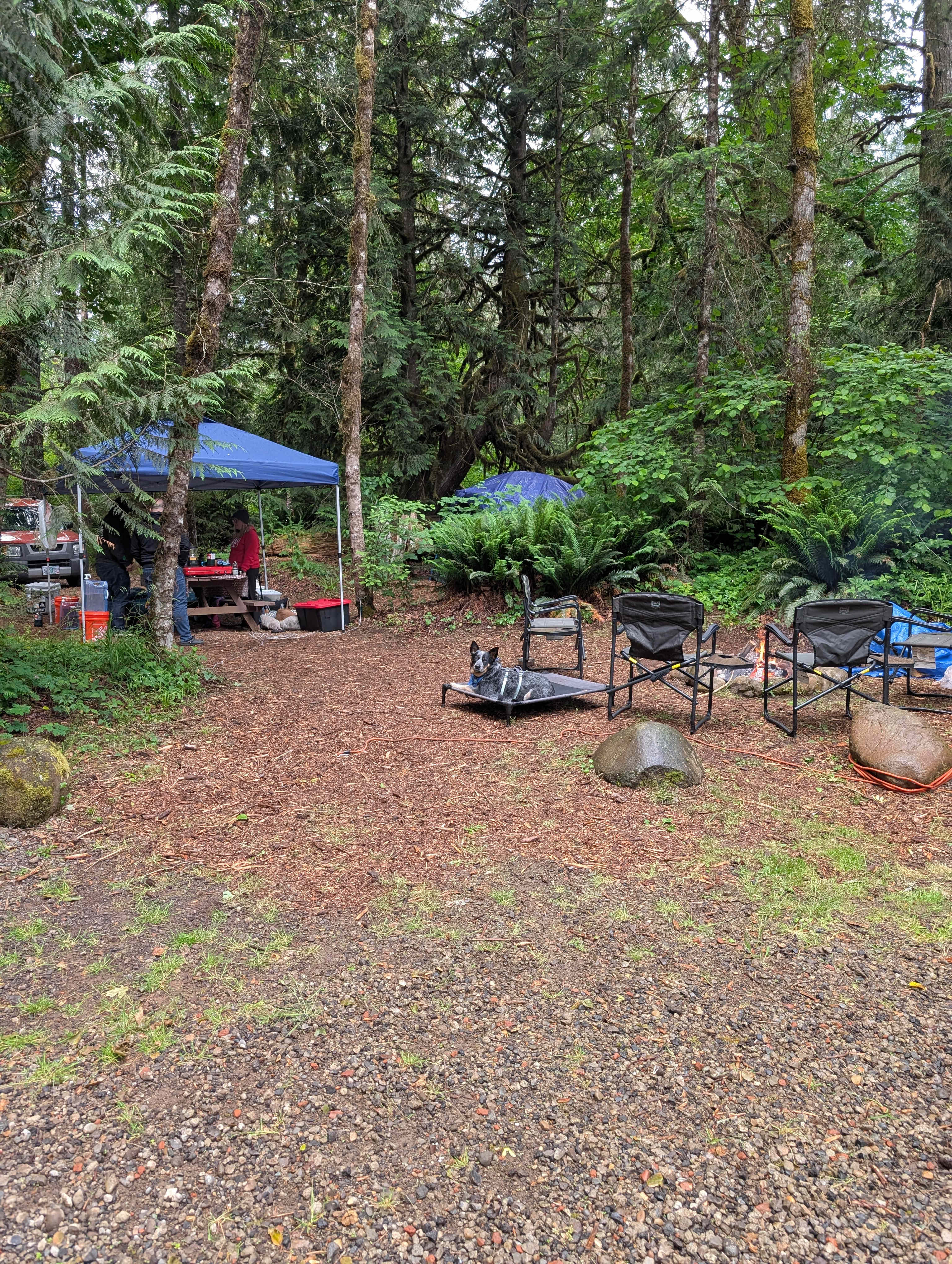 Zen Acres