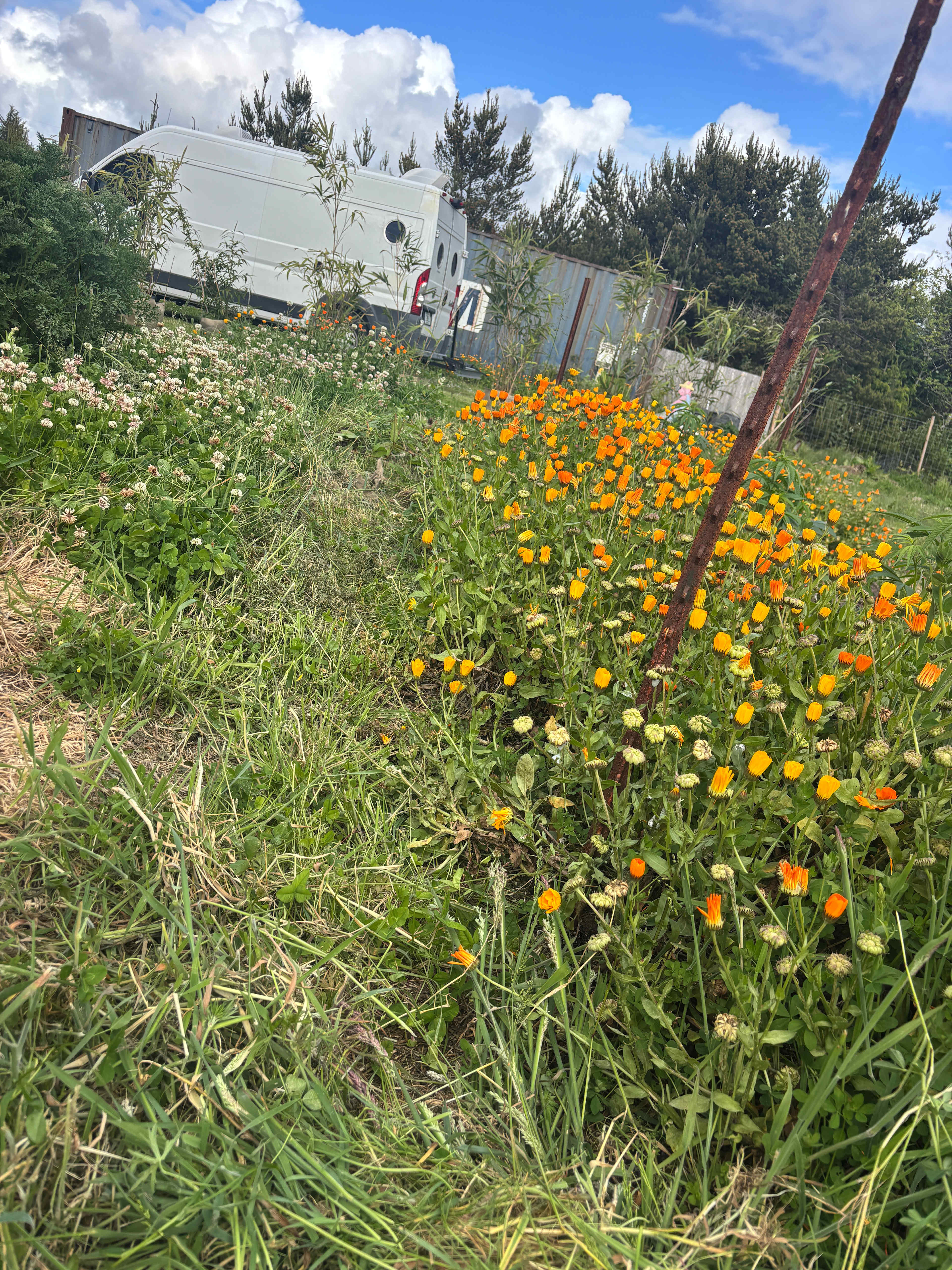 Coastal Farm Sanctuary