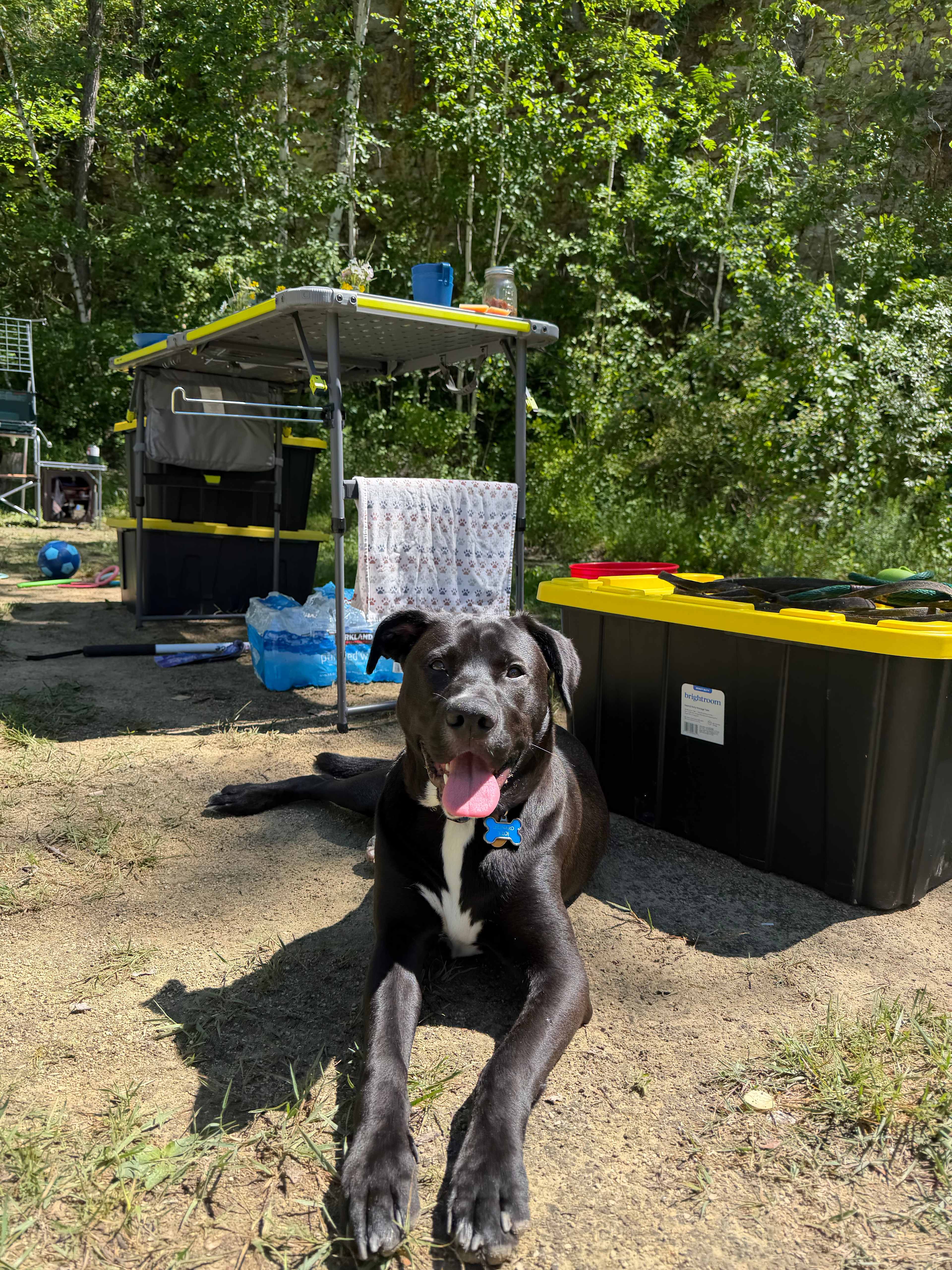 A happy Leonard 🐾